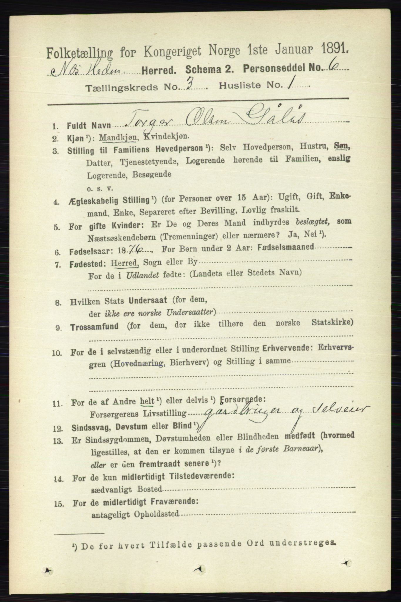 RA, 1891 census for 0411 Nes, 1891, p. 1593