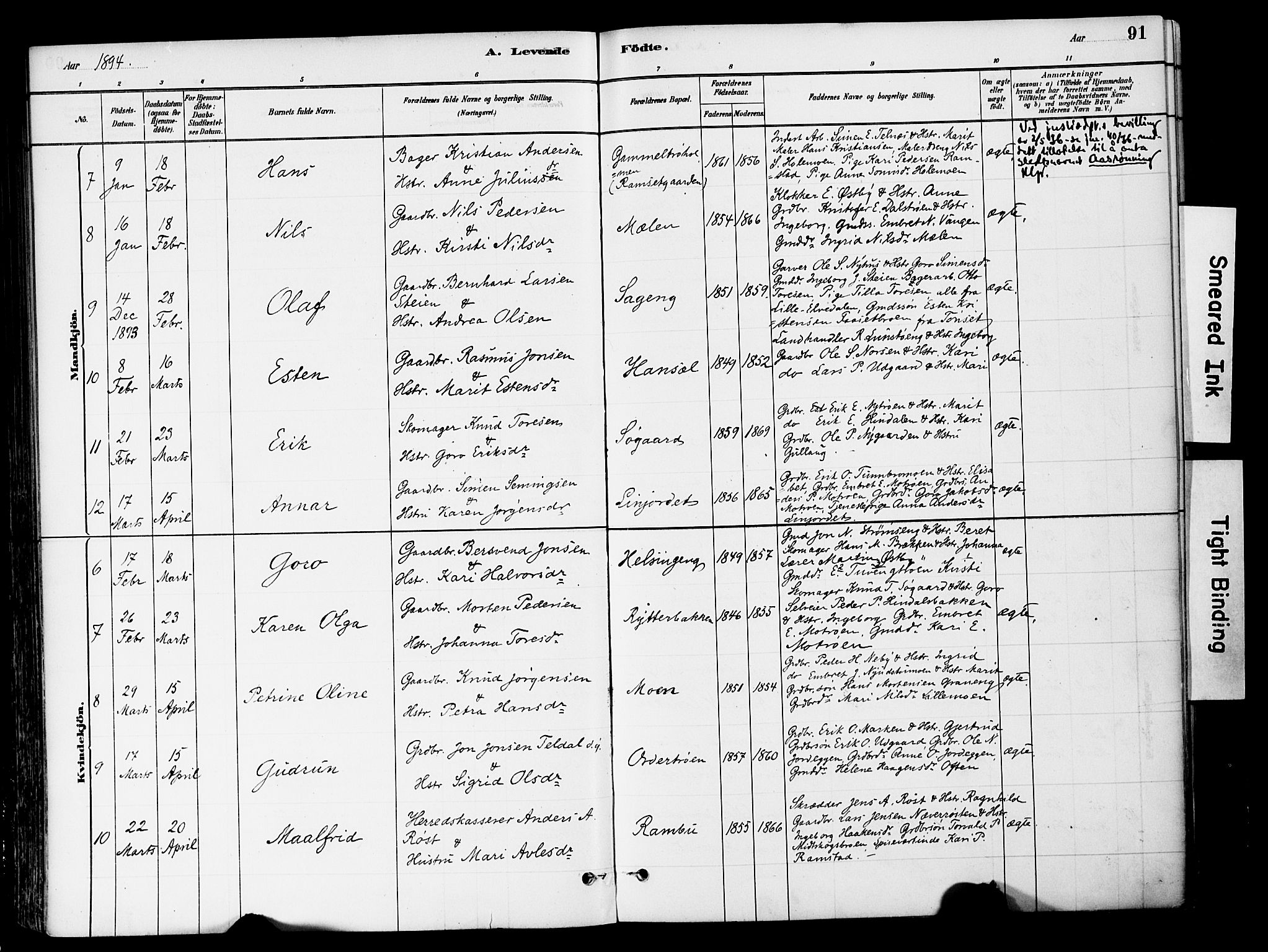Tynset prestekontor, SAH/PREST-058/H/Ha/Haa/L0022: Parish register (official) no. 22, 1880-1899, p. 91