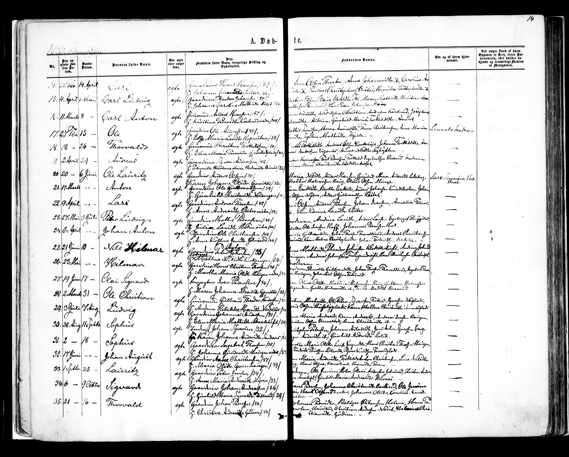 Skiptvet prestekontor Kirkebøker, AV/SAO-A-20009/F/Fa/L0008: Parish register (official) no. 8, 1867-1877, p. 14