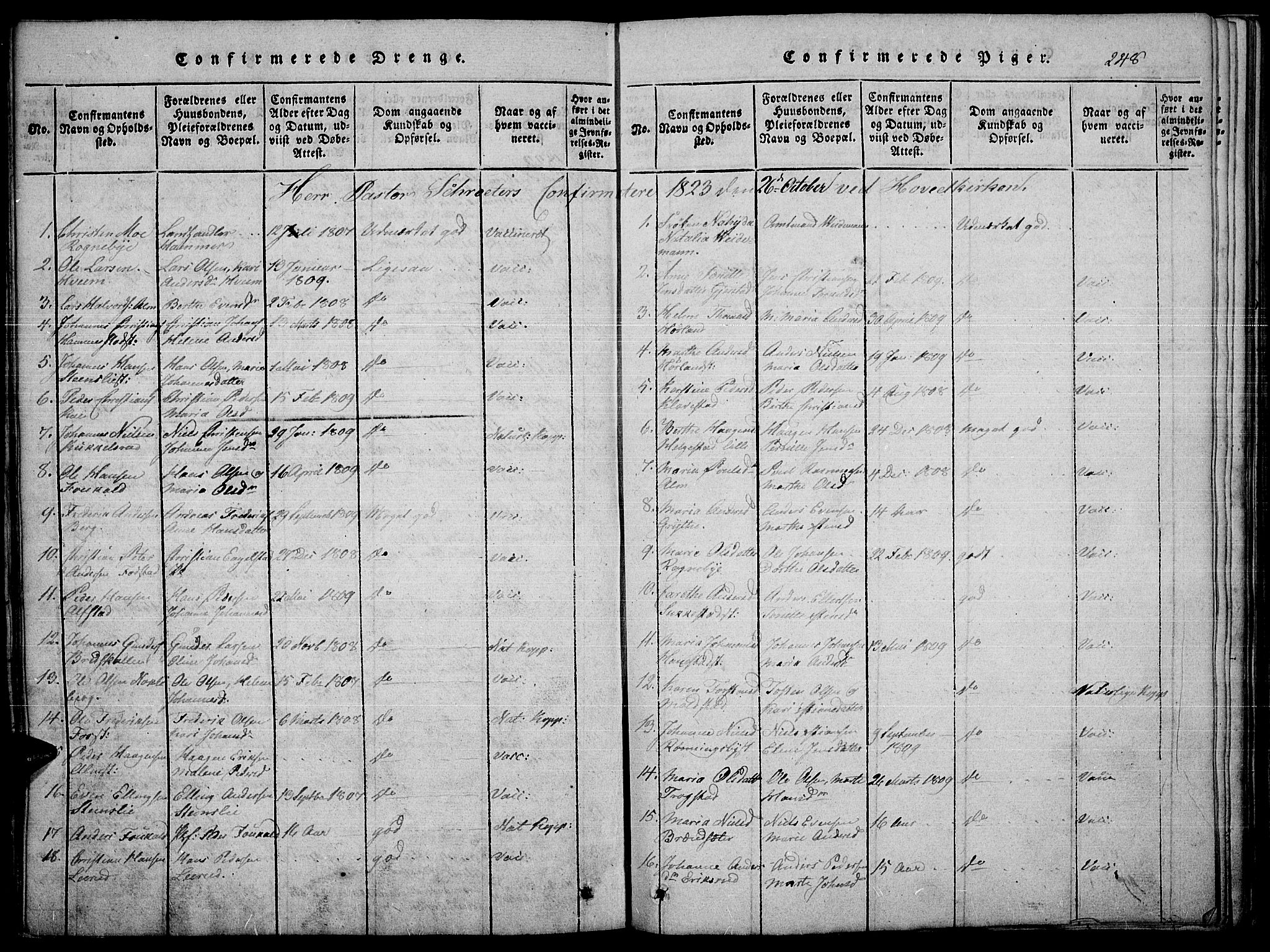 Toten prestekontor, SAH/PREST-102/H/Ha/Haa/L0010: Parish register (official) no. 10, 1820-1828, p. 248