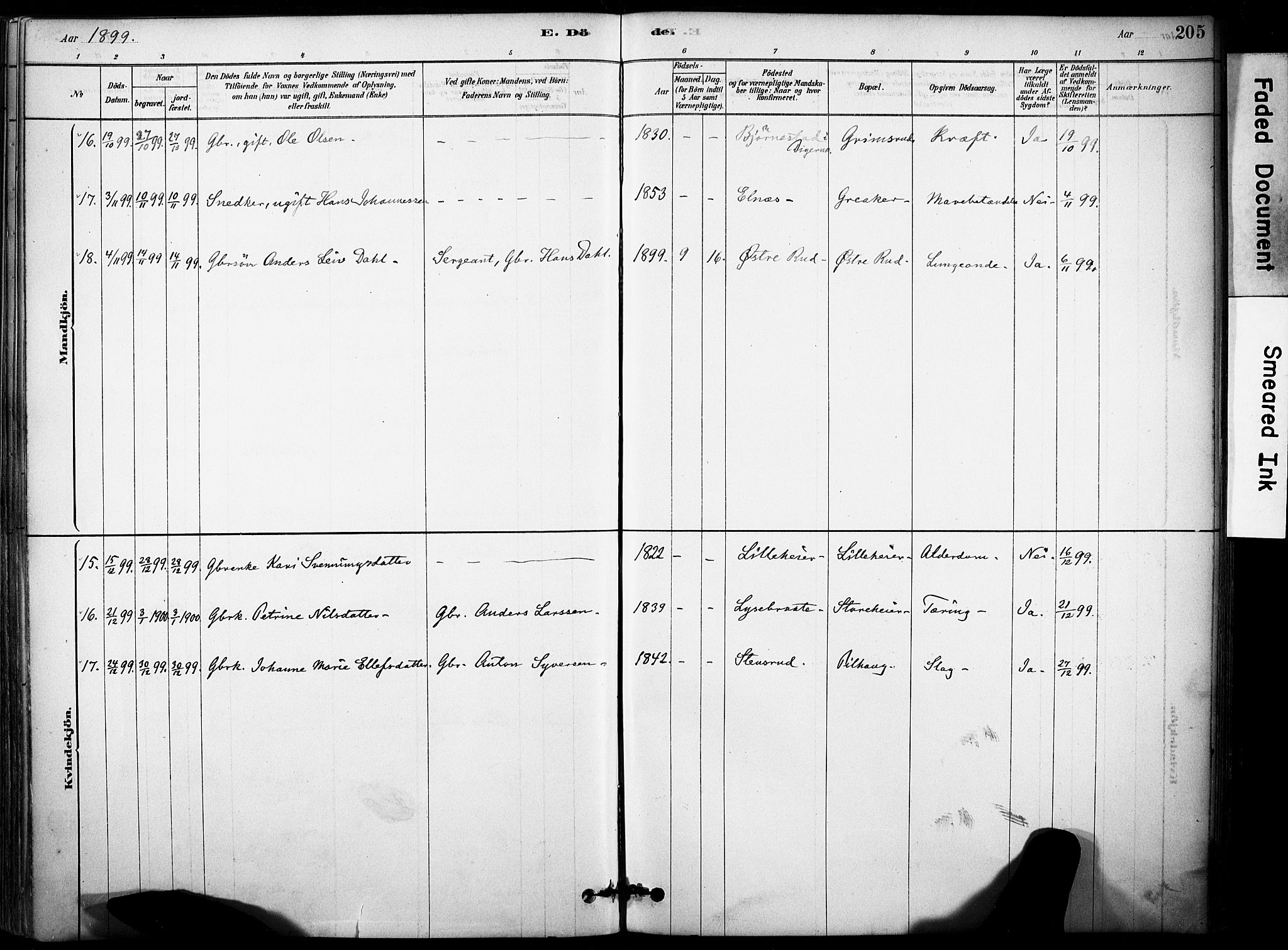 Rakkestad prestekontor Kirkebøker, AV/SAO-A-2008/F/Fb/L0001: Parish register (official) no. II 1, 1878-1899, p. 205