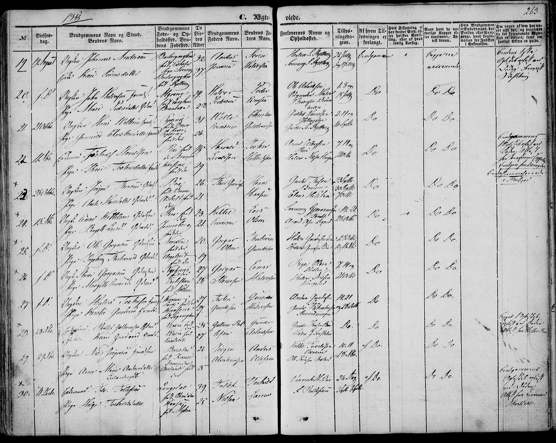 Bø kirkebøker, SAKO/A-257/F/Fa/L0008: Parish register (official) no. 8, 1849-1861, p. 263
