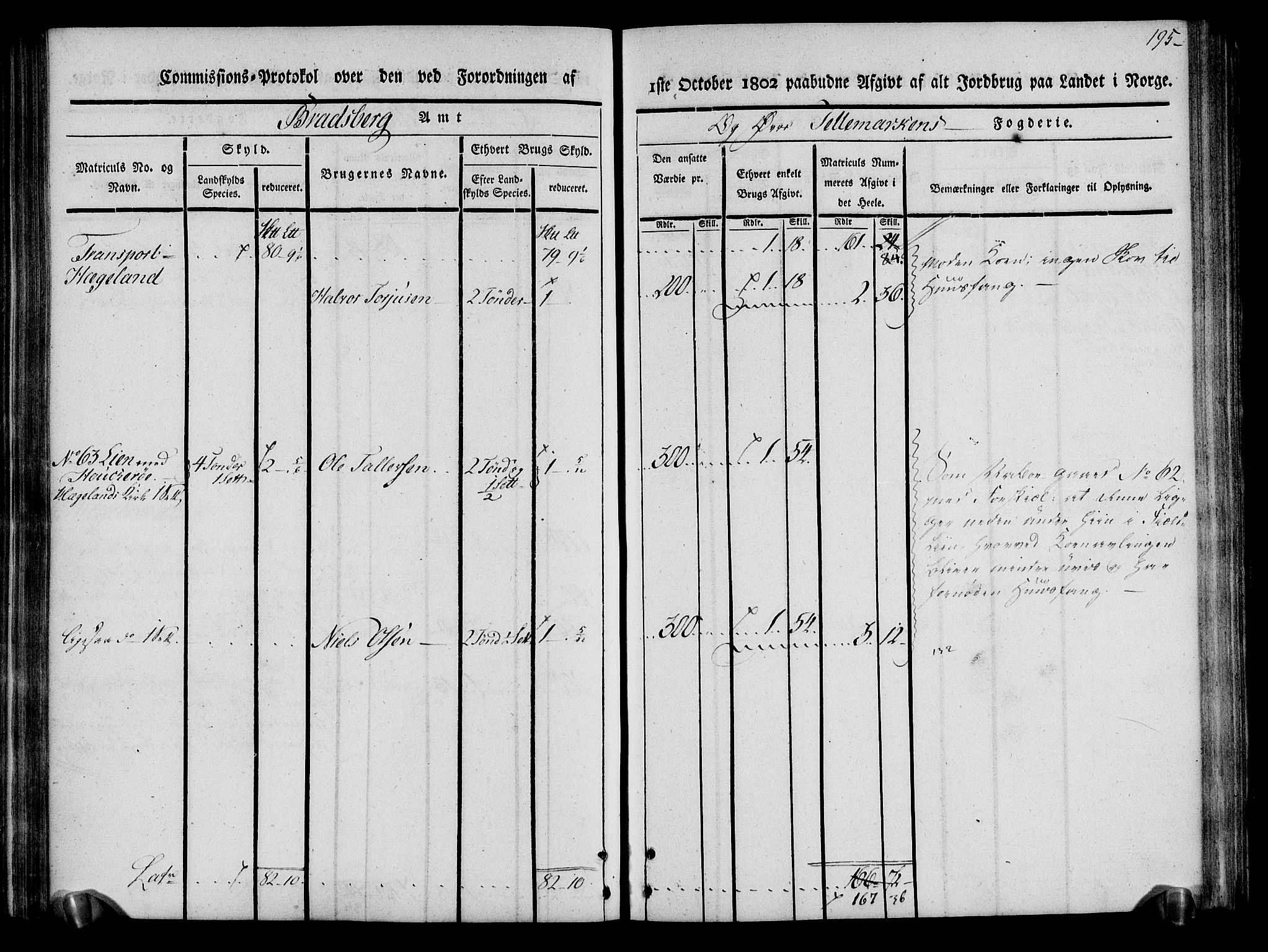 Rentekammeret inntil 1814, Realistisk ordnet avdeling, AV/RA-EA-4070/N/Ne/Nea/L0075: Øvre Telemarken fogderi. Kommisjonsprotokoll for fogderiets vestre del - Kviteseid, Vinje, Moland [):Fyresdal] og Lårdal prestegjeld., 1803, p. 197