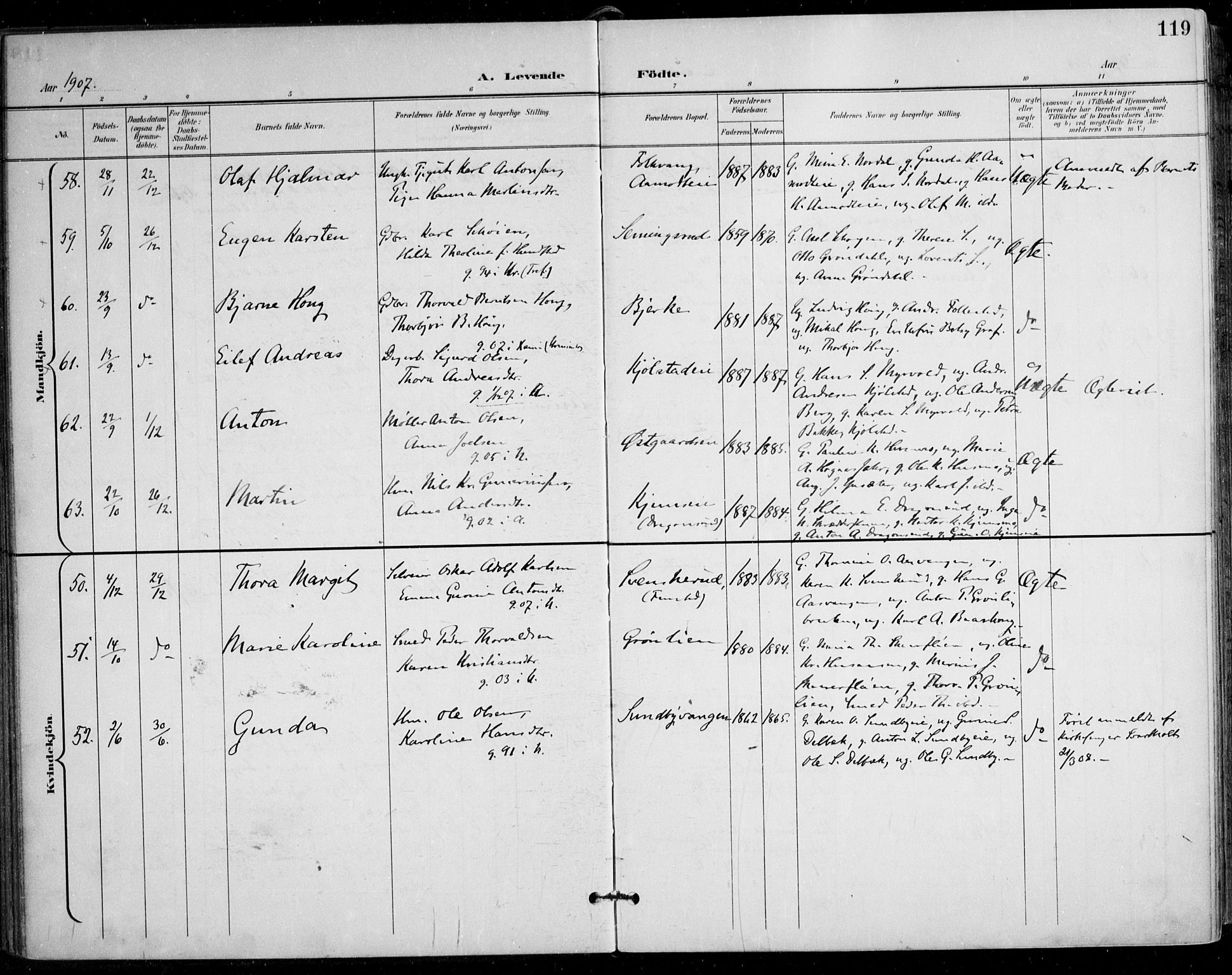 Nes prestekontor Kirkebøker, SAO/A-10410/F/Fa/L0011: Parish register (official) no. I 11, 1899-1918, p. 119