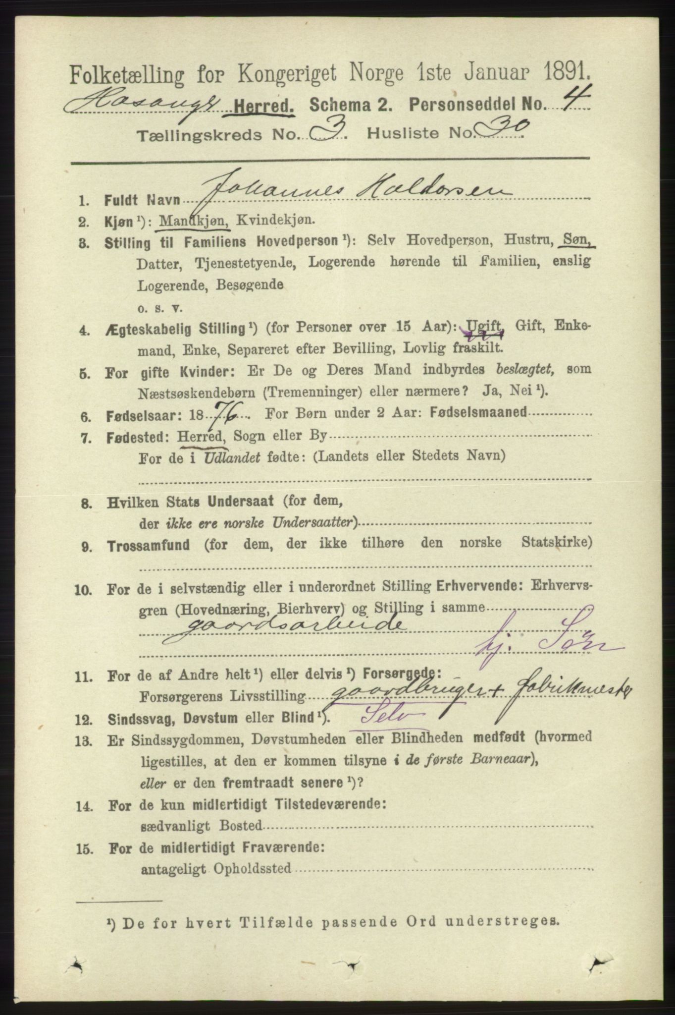 RA, 1891 census for 1253 Hosanger, 1891, p. 1218