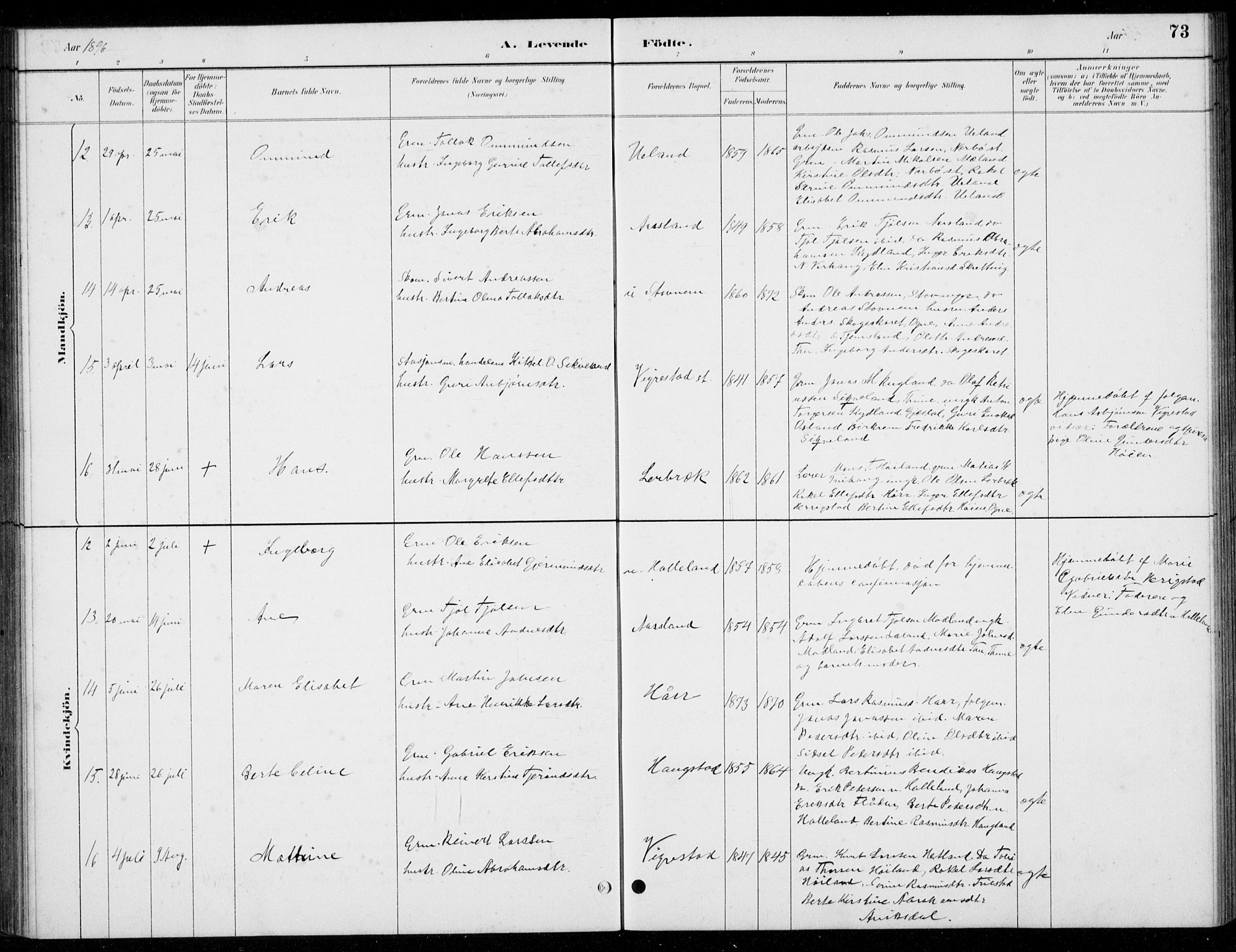 Hå sokneprestkontor, AV/SAST-A-101801/001/30BB/L0004: Parish register (copy) no. B 4, 1883-1899, p. 73