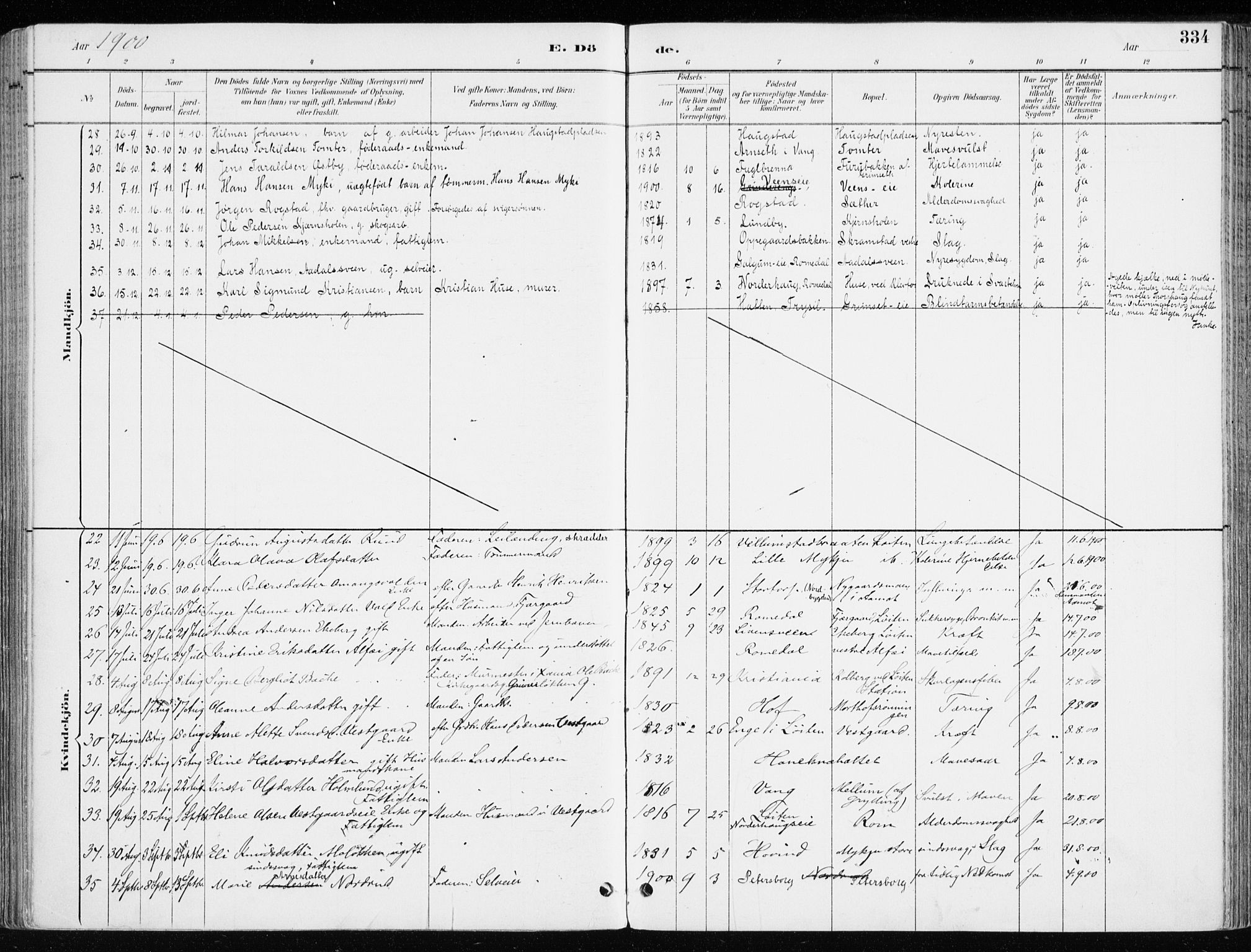 Løten prestekontor, AV/SAH-PREST-022/K/Ka/L0010: Parish register (official) no. 10, 1892-1907, p. 334