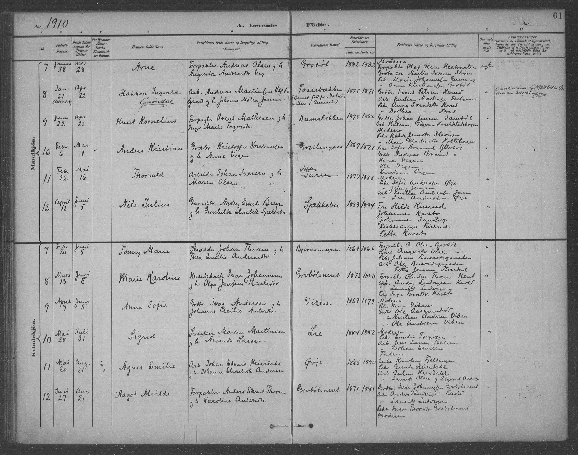 Aremark prestekontor Kirkebøker, SAO/A-10899/F/Fb/L0005: Parish register (official) no. II 5, 1895-1919, p. 61