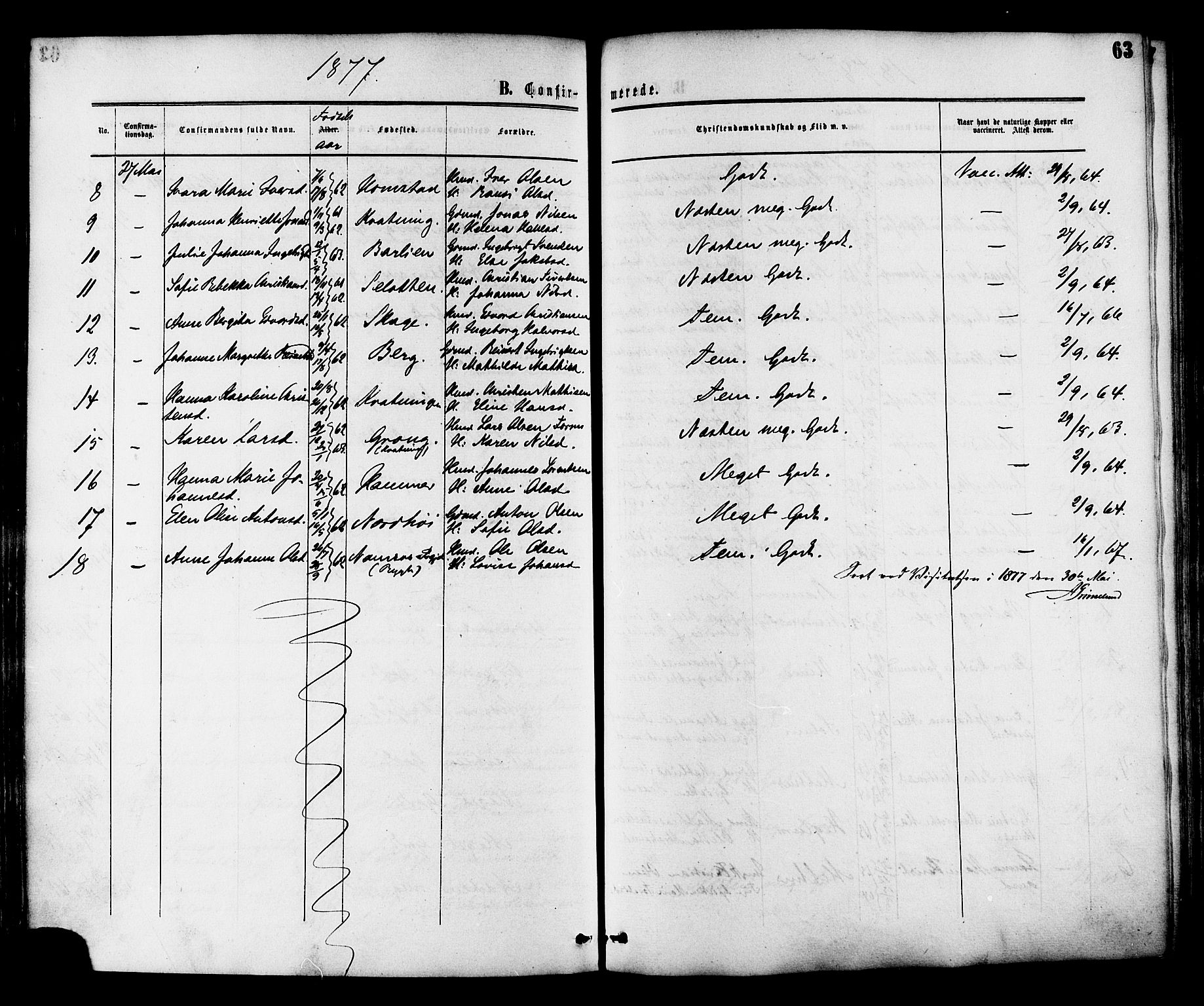 Ministerialprotokoller, klokkerbøker og fødselsregistre - Nord-Trøndelag, AV/SAT-A-1458/764/L0553: Parish register (official) no. 764A08, 1858-1880, p. 63