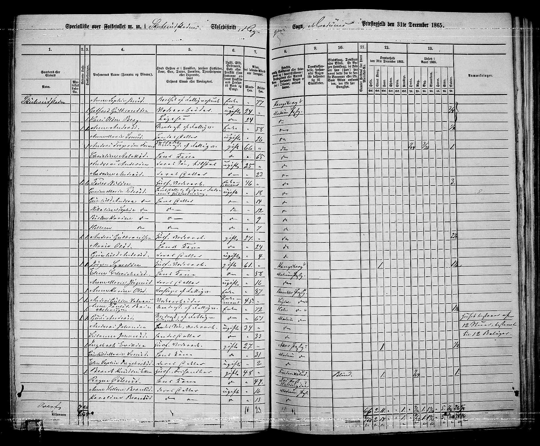 RA, 1865 census for Modum, 1865, p. 218