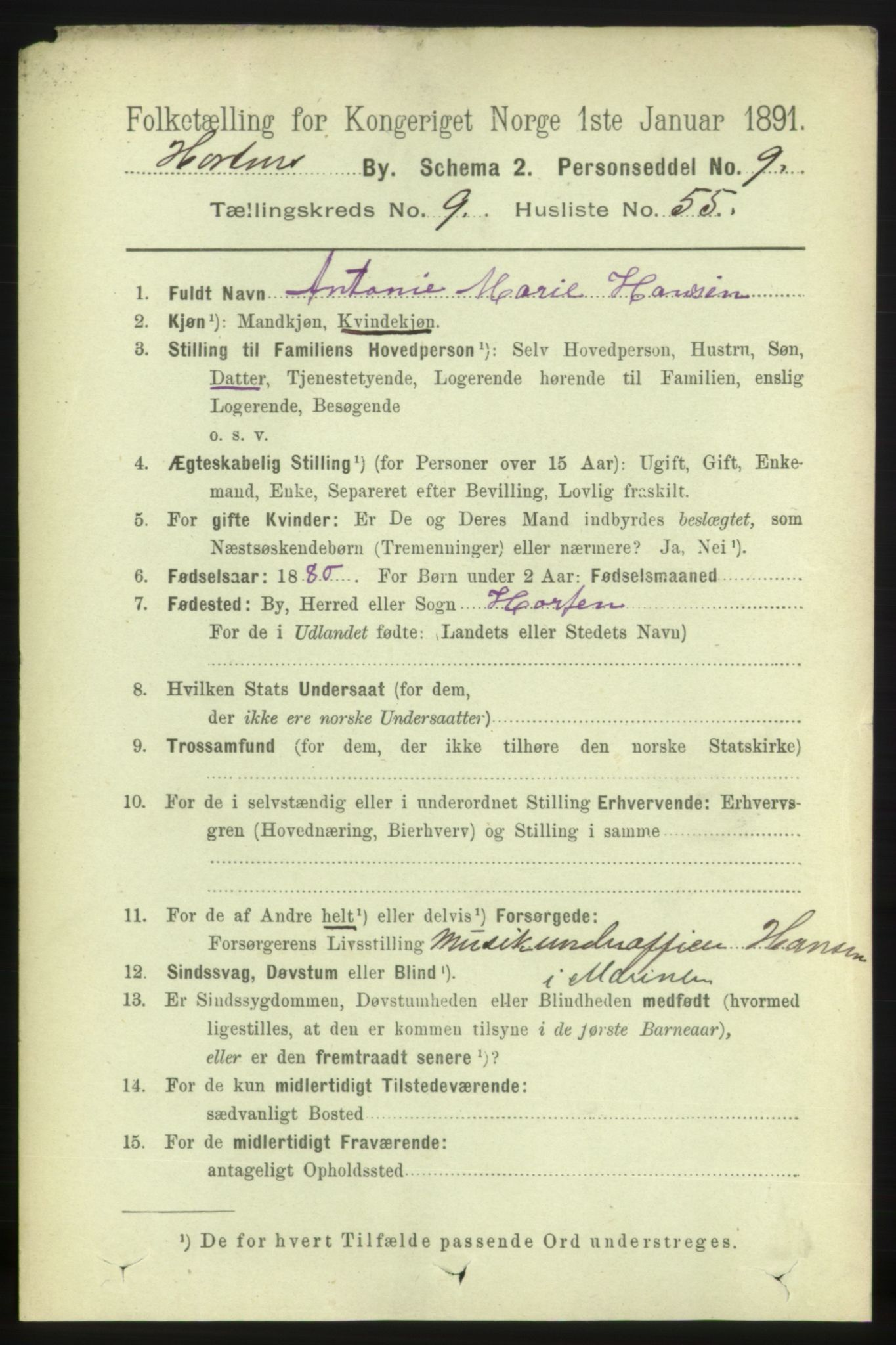 RA, 1891 census for 0703 Horten, 1891, p. 6154