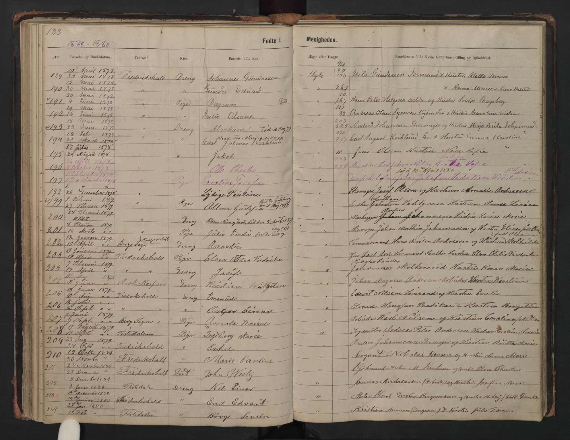 Halden metodistkirke - menighetsprotokoller, SAO/PAO-0266/F/L0002: Dissenter register no. 2, 1856-1892, p. 133