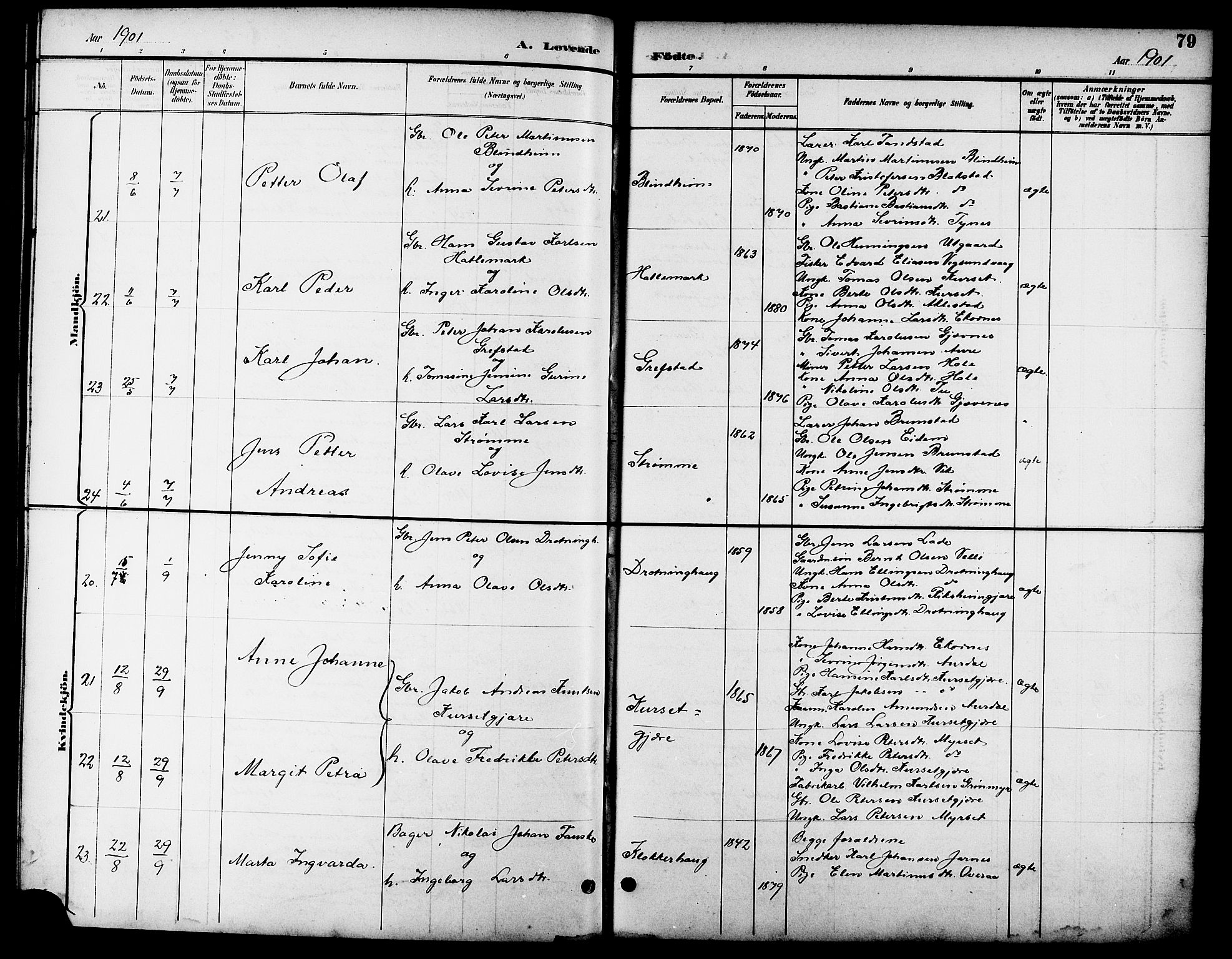 Ministerialprotokoller, klokkerbøker og fødselsregistre - Møre og Romsdal, AV/SAT-A-1454/523/L0340: Parish register (copy) no. 523C03, 1892-1902, p. 79