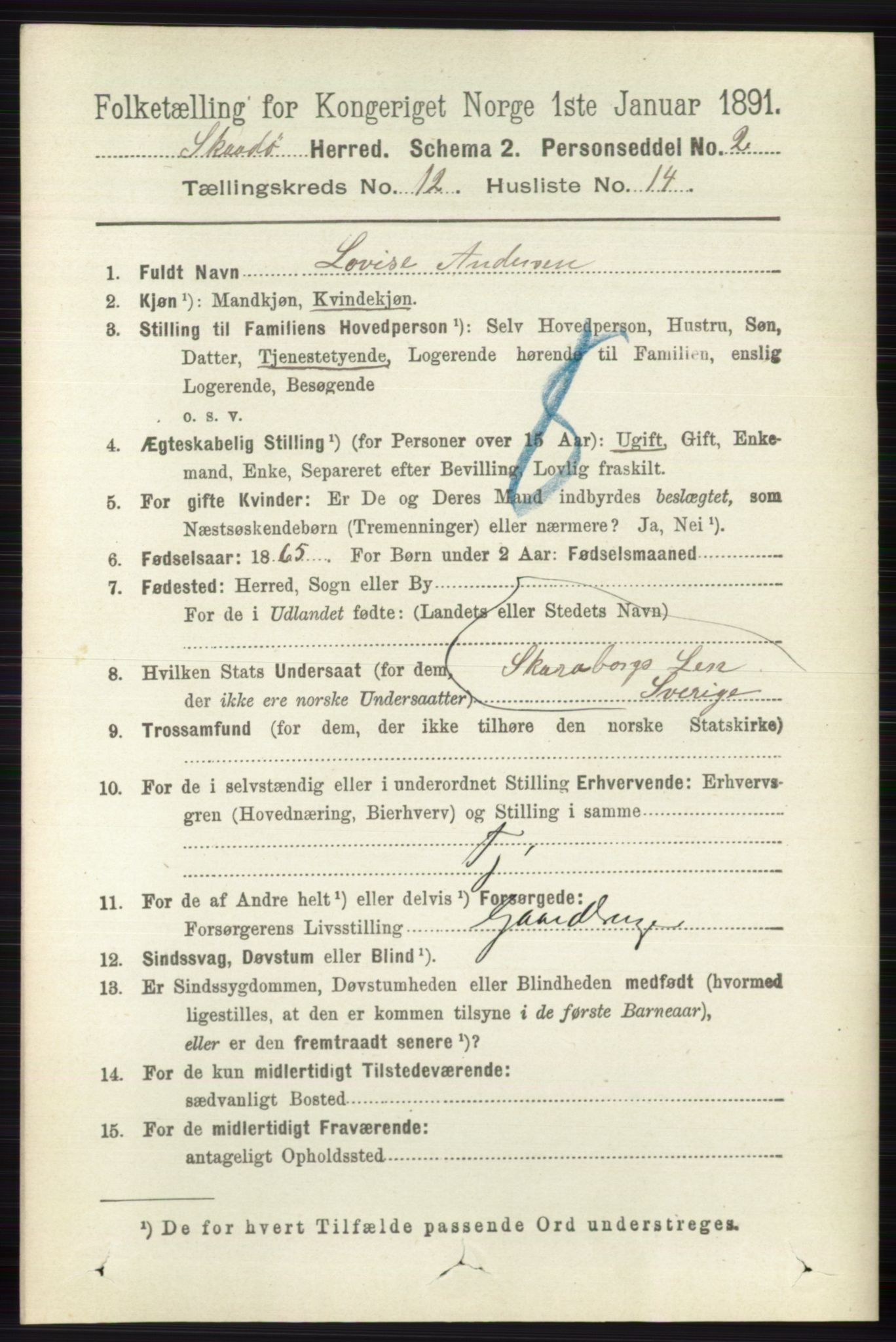 RA, 1891 census for 0815 Skåtøy, 1891, p. 4378