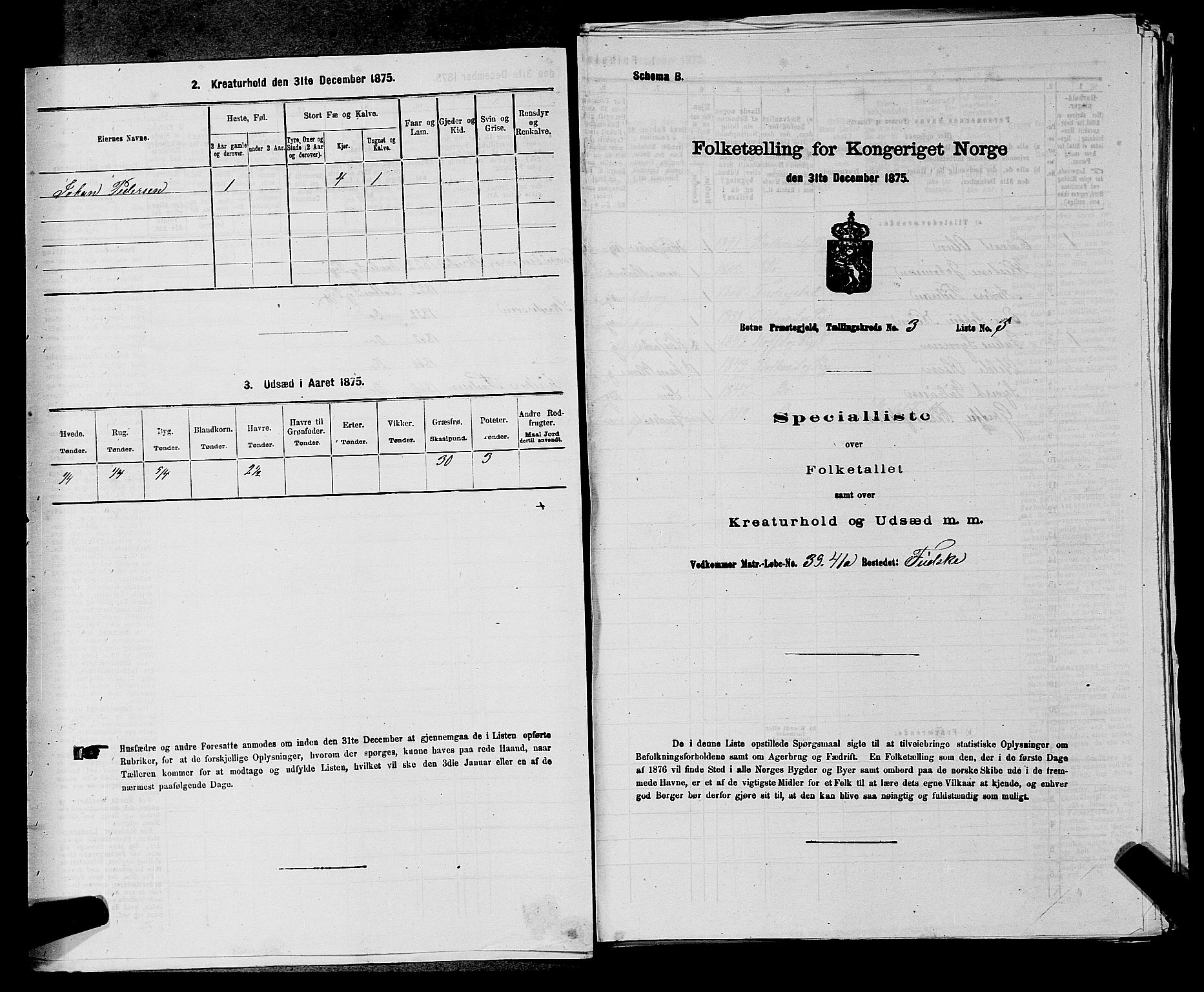 SAKO, 1875 census for 0715P Botne, 1875, p. 212