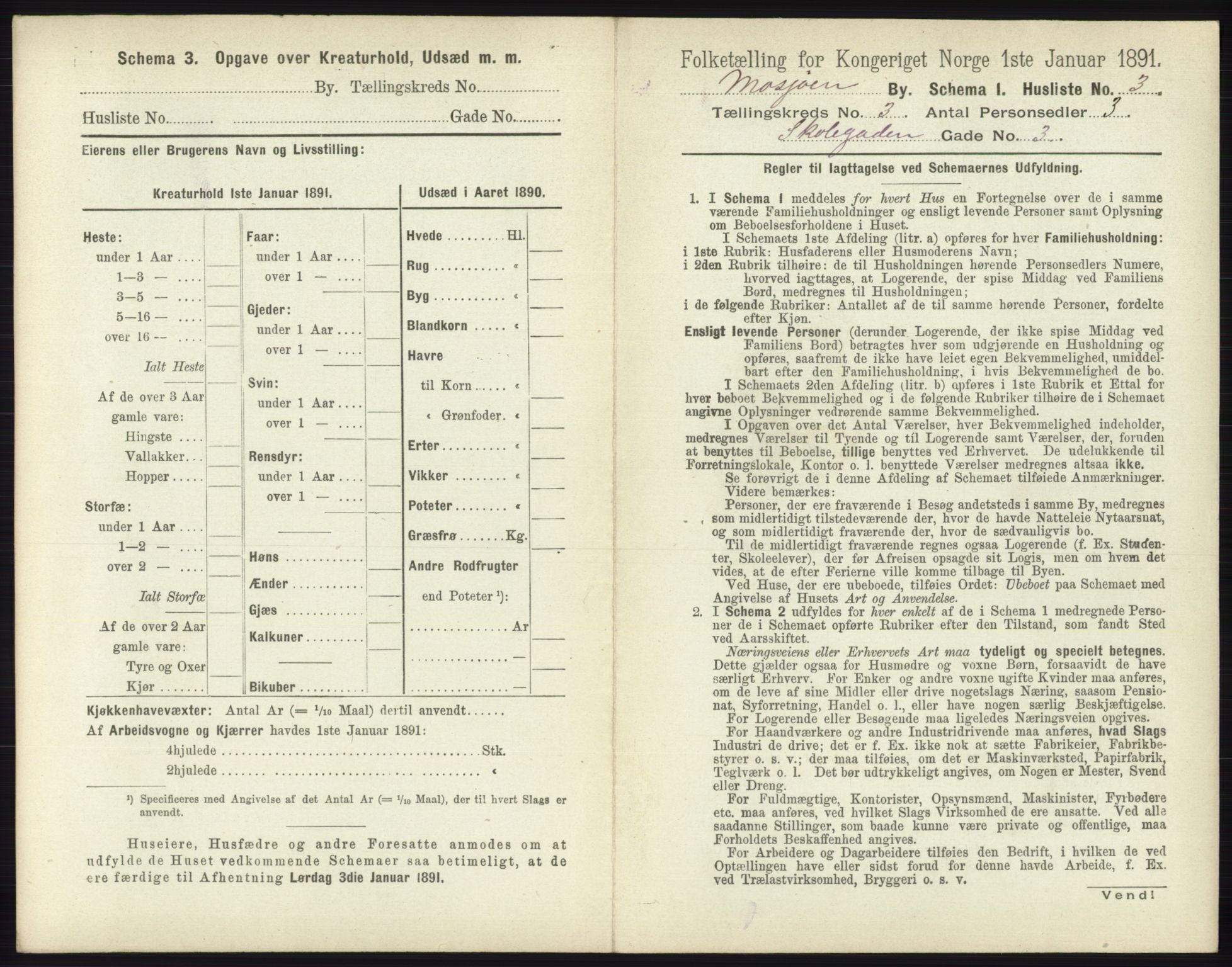 RA, 1891 census for 1802 Mosjøen, 1891, p. 1132