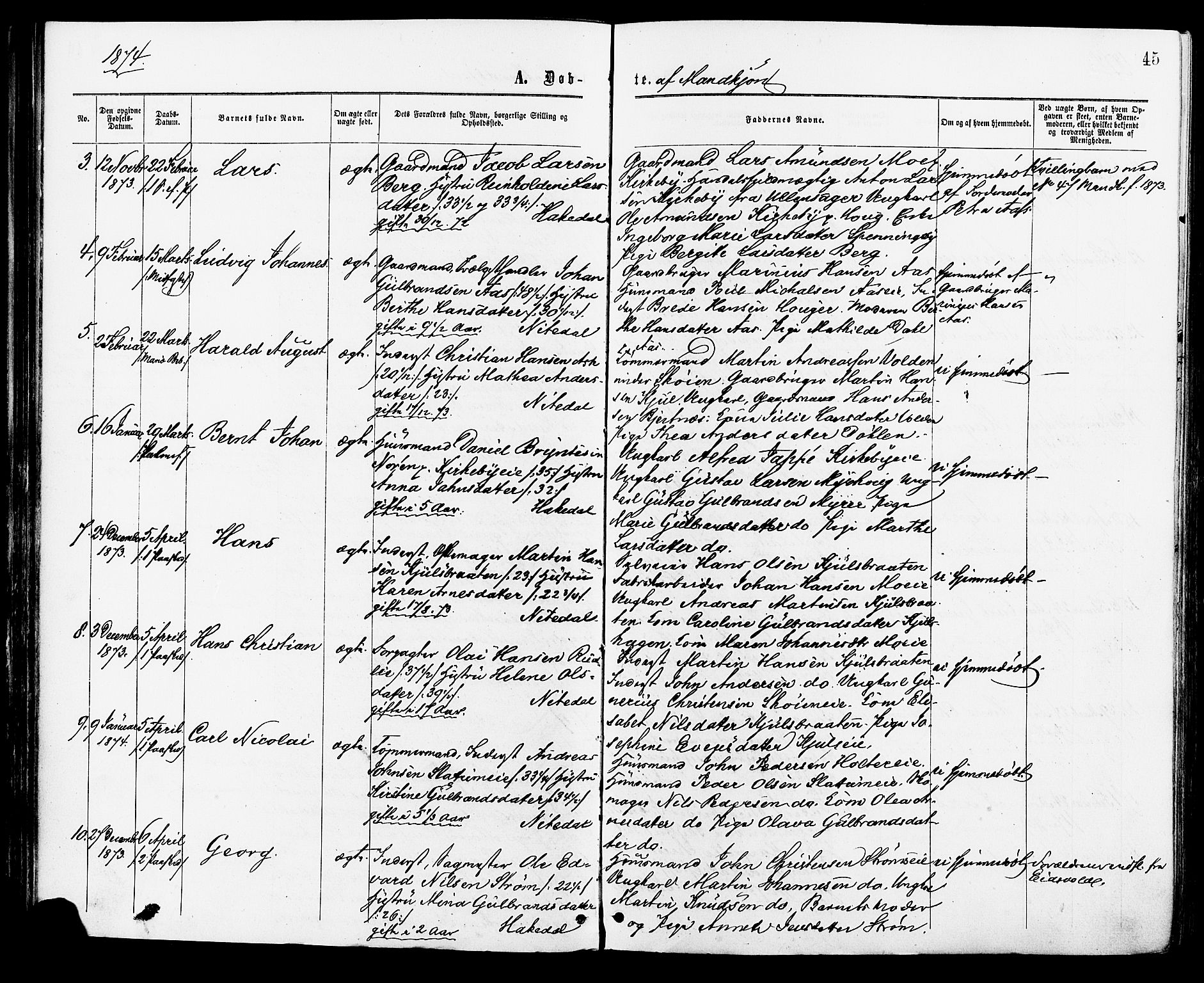 Nittedal prestekontor Kirkebøker, AV/SAO-A-10365a/F/Fa/L0006: Parish register (official) no. I 6, 1863-1878, p. 45