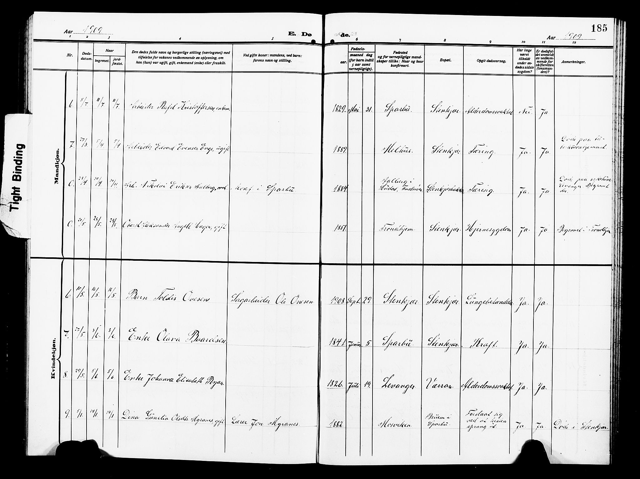 Ministerialprotokoller, klokkerbøker og fødselsregistre - Nord-Trøndelag, SAT/A-1458/739/L0376: Parish register (copy) no. 739C04, 1908-1917, p. 185