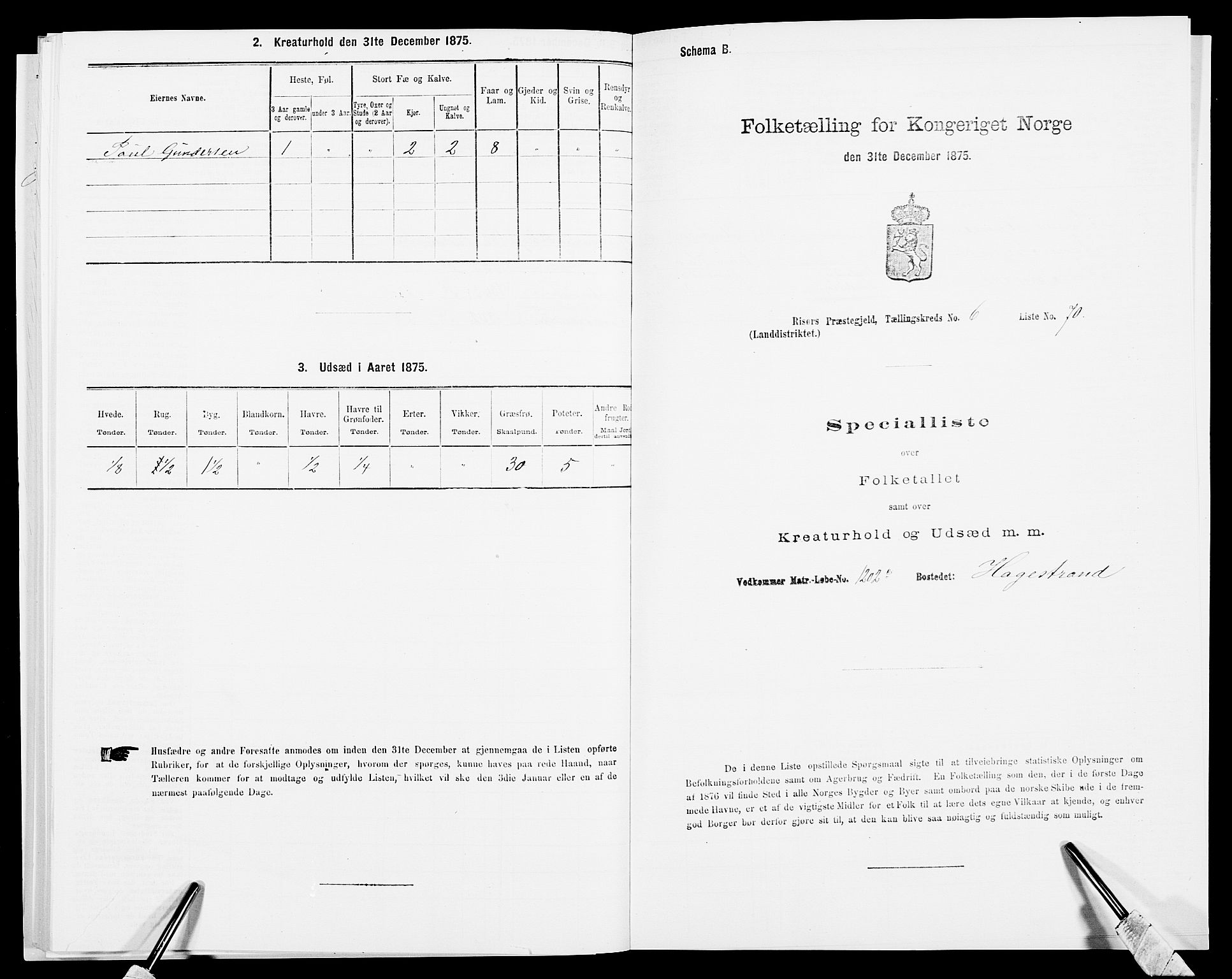 SAK, 1875 census for 0913L Risør/Søndeled, 1875, p. 1029