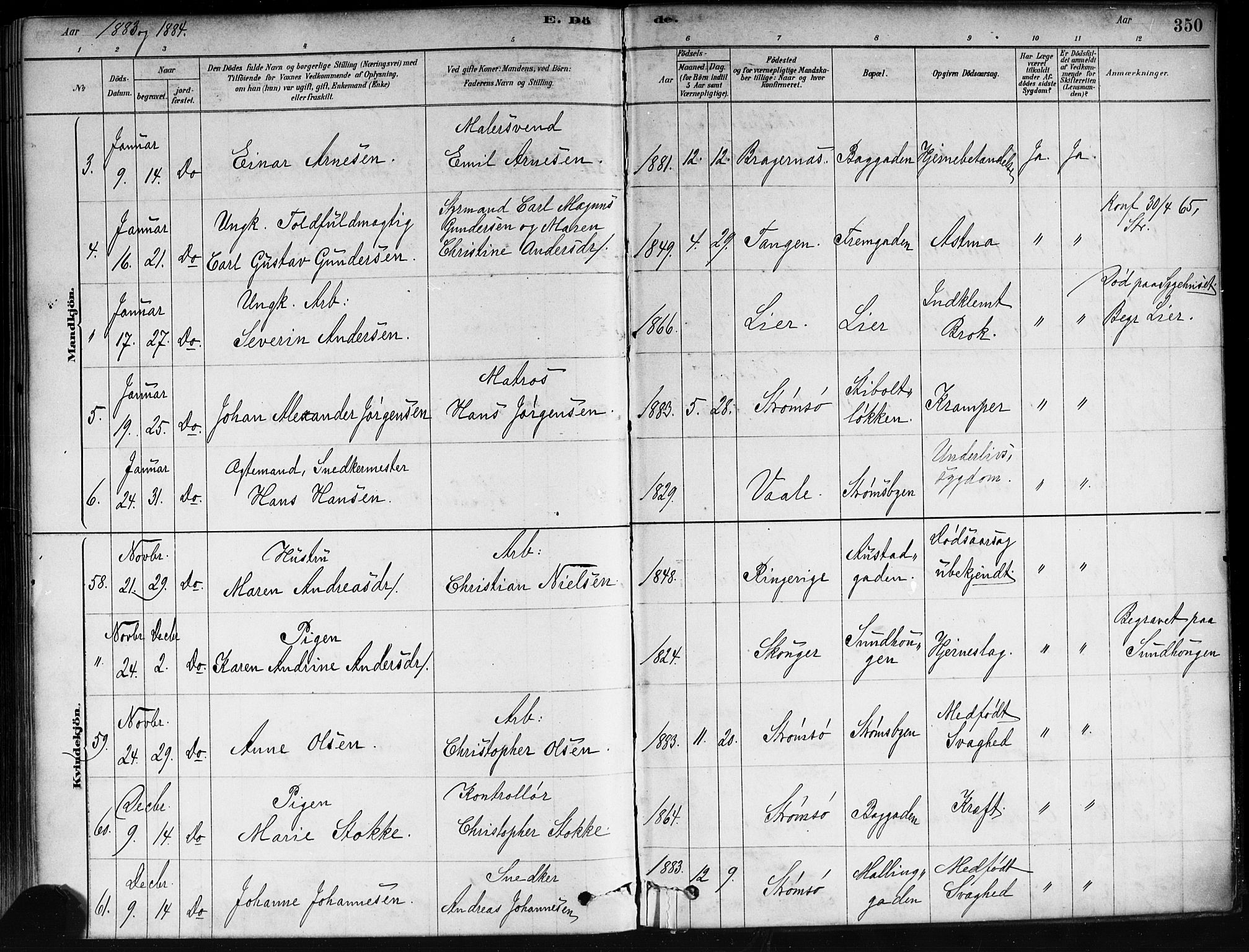 Strømsø kirkebøker, AV/SAKO-A-246/F/Fa/L0021: Parish register (official) no. I 21, 1878-1885, p. 350