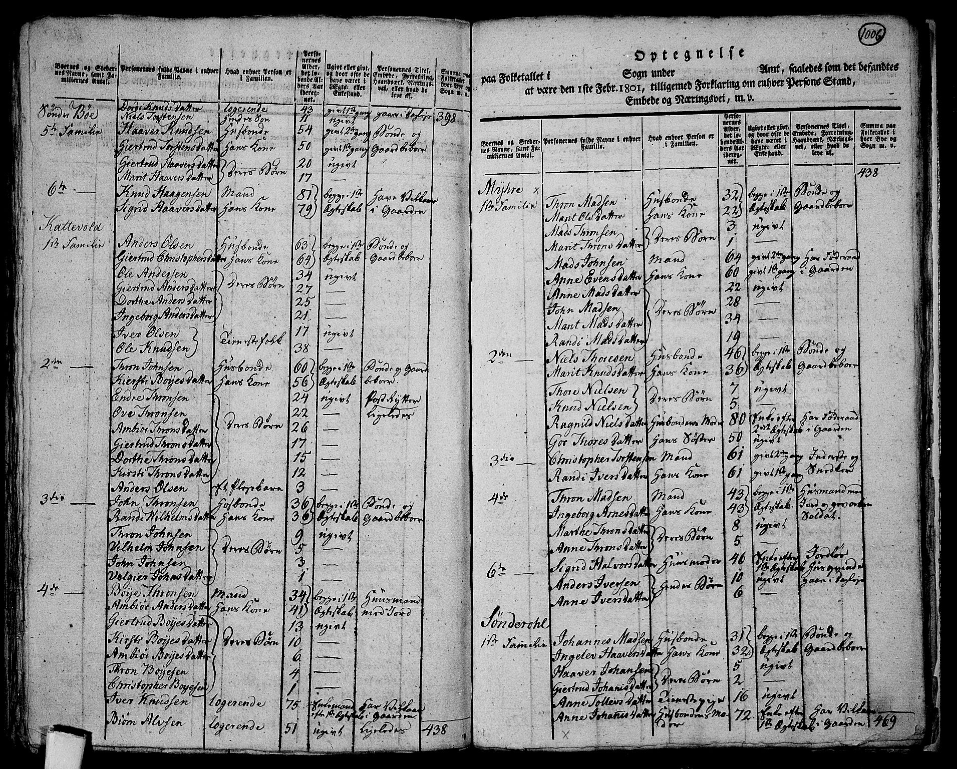 RA, 1801 census for 0545P Vang, 1801, p. 1005b-1006a