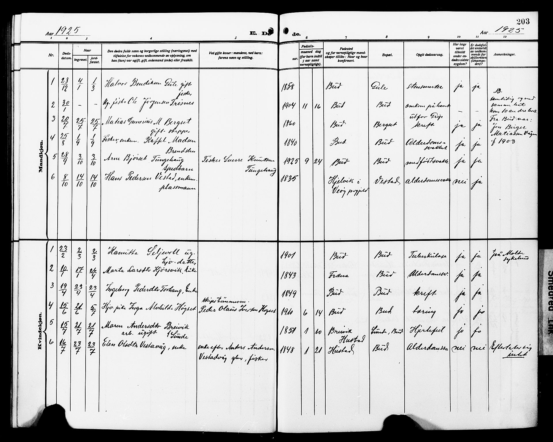 Ministerialprotokoller, klokkerbøker og fødselsregistre - Møre og Romsdal, SAT/A-1454/566/L0774: Parish register (copy) no. 566C03, 1910-1929, p. 203