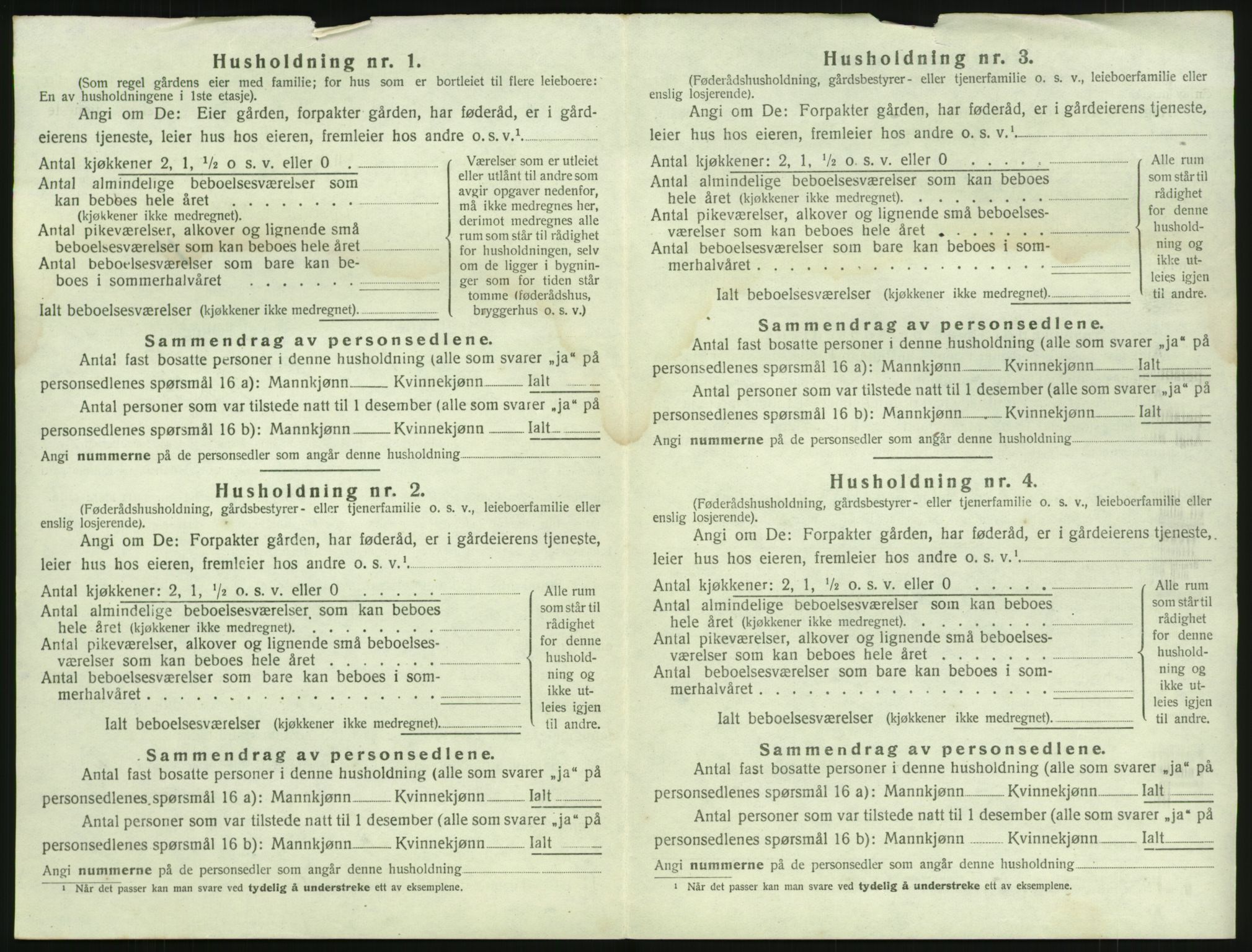 SAKO, 1920 census for Brunlanes, 1920, p. 310