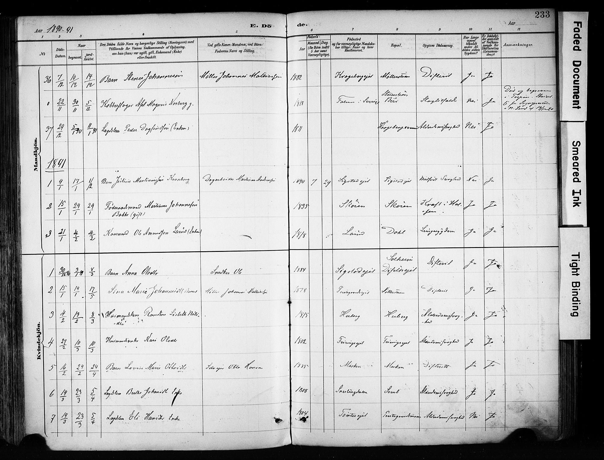 Biri prestekontor, SAH/PREST-096/H/Ha/Haa/L0009: Parish register (official) no. 9, 1887-1900, p. 233