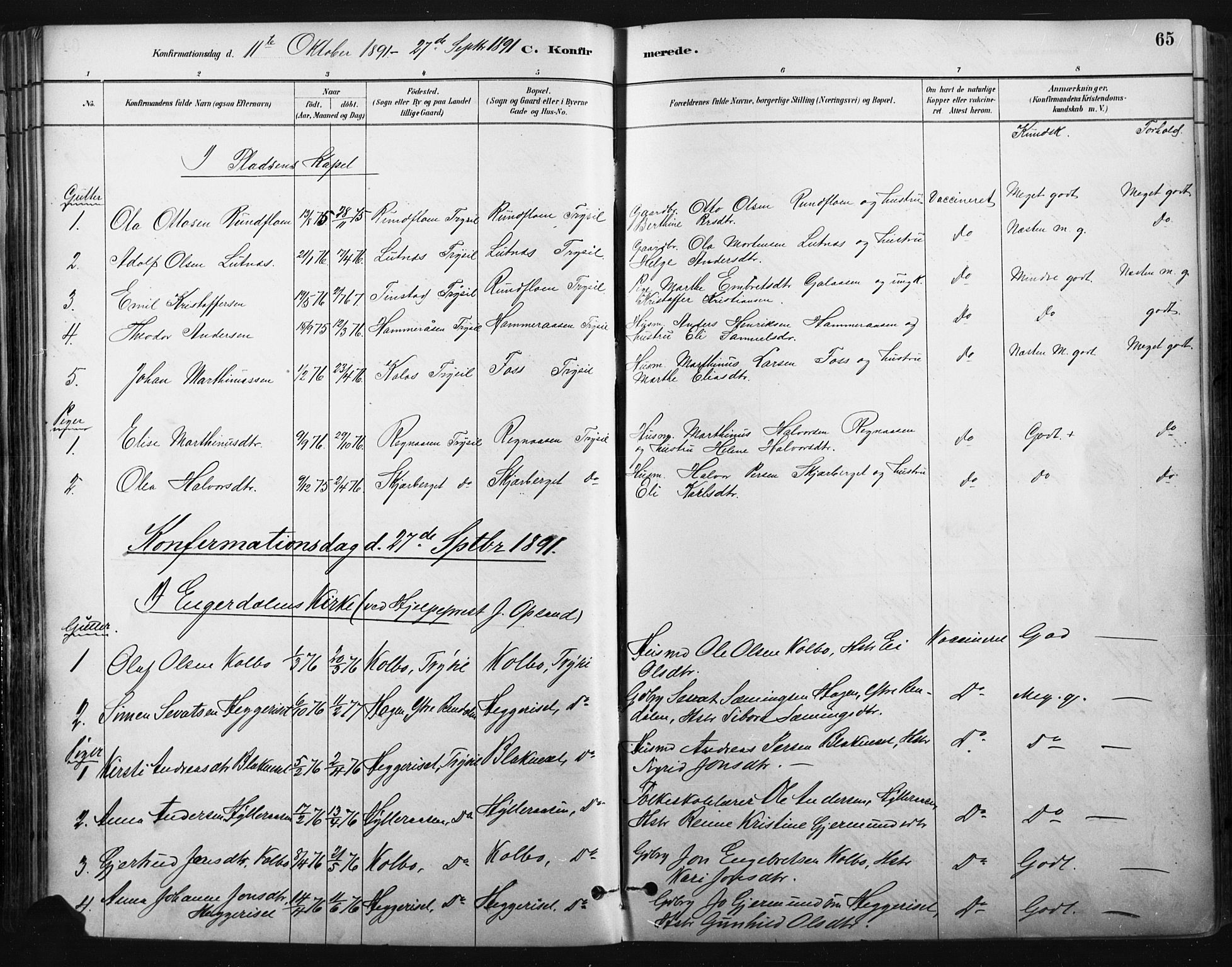 Trysil prestekontor, SAH/PREST-046/H/Ha/Haa/L0009: Parish register (official) no. 9, 1881-1897, p. 65