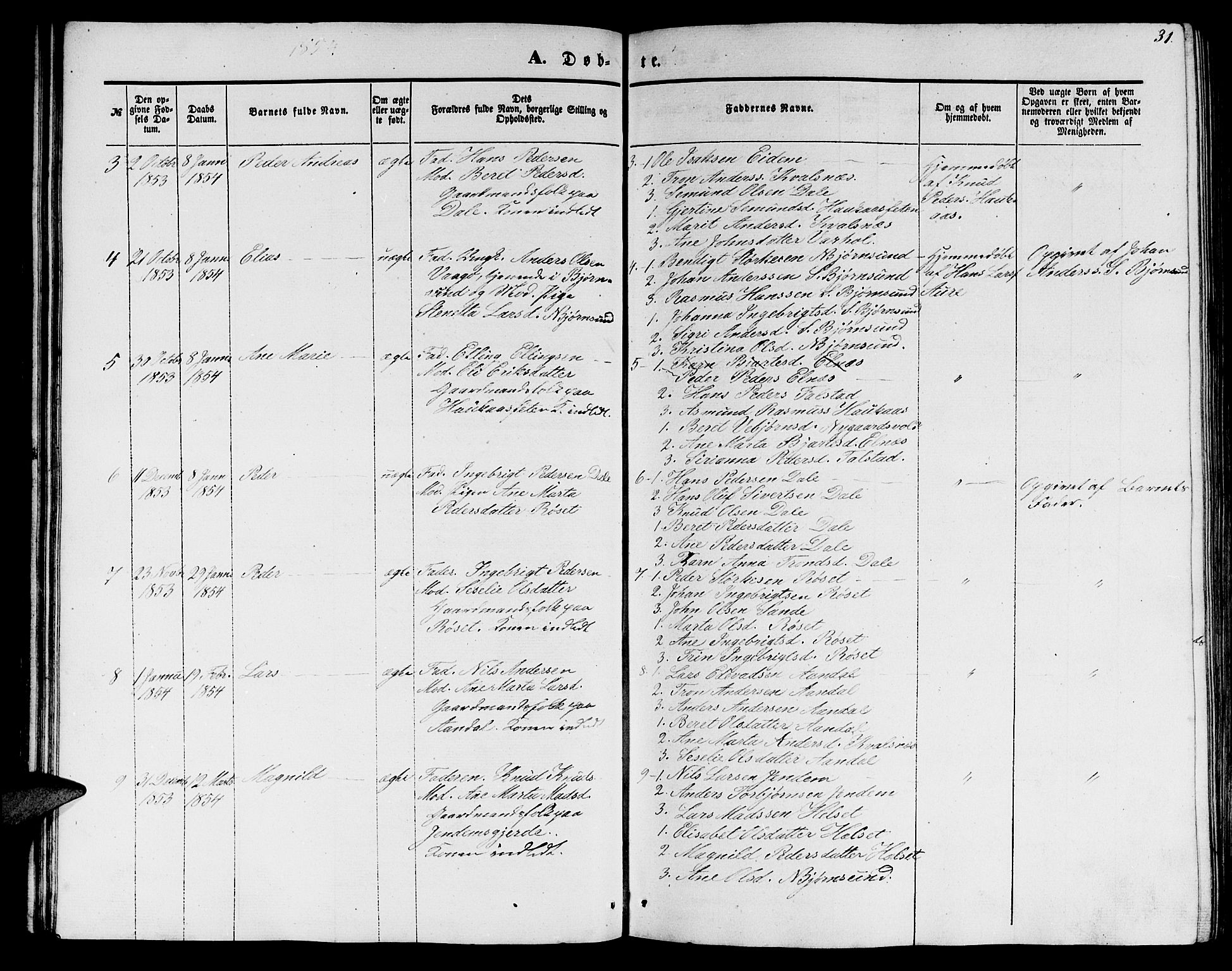 Ministerialprotokoller, klokkerbøker og fødselsregistre - Møre og Romsdal, AV/SAT-A-1454/565/L0753: Parish register (copy) no. 565C02, 1845-1870, p. 31