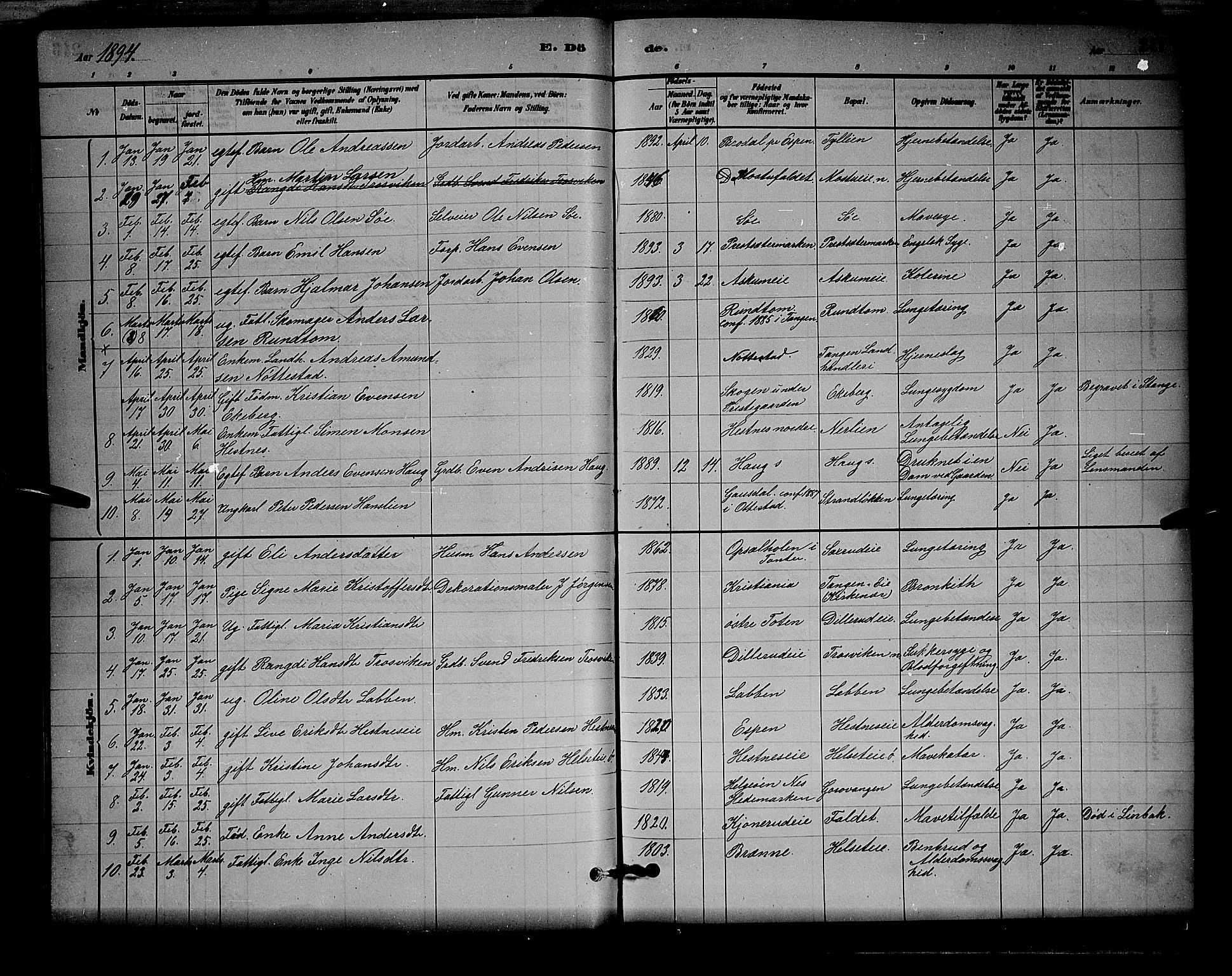 Stange prestekontor, SAH/PREST-002/L/L0008: Parish register (copy) no. 8, 1882-1895, p. 247