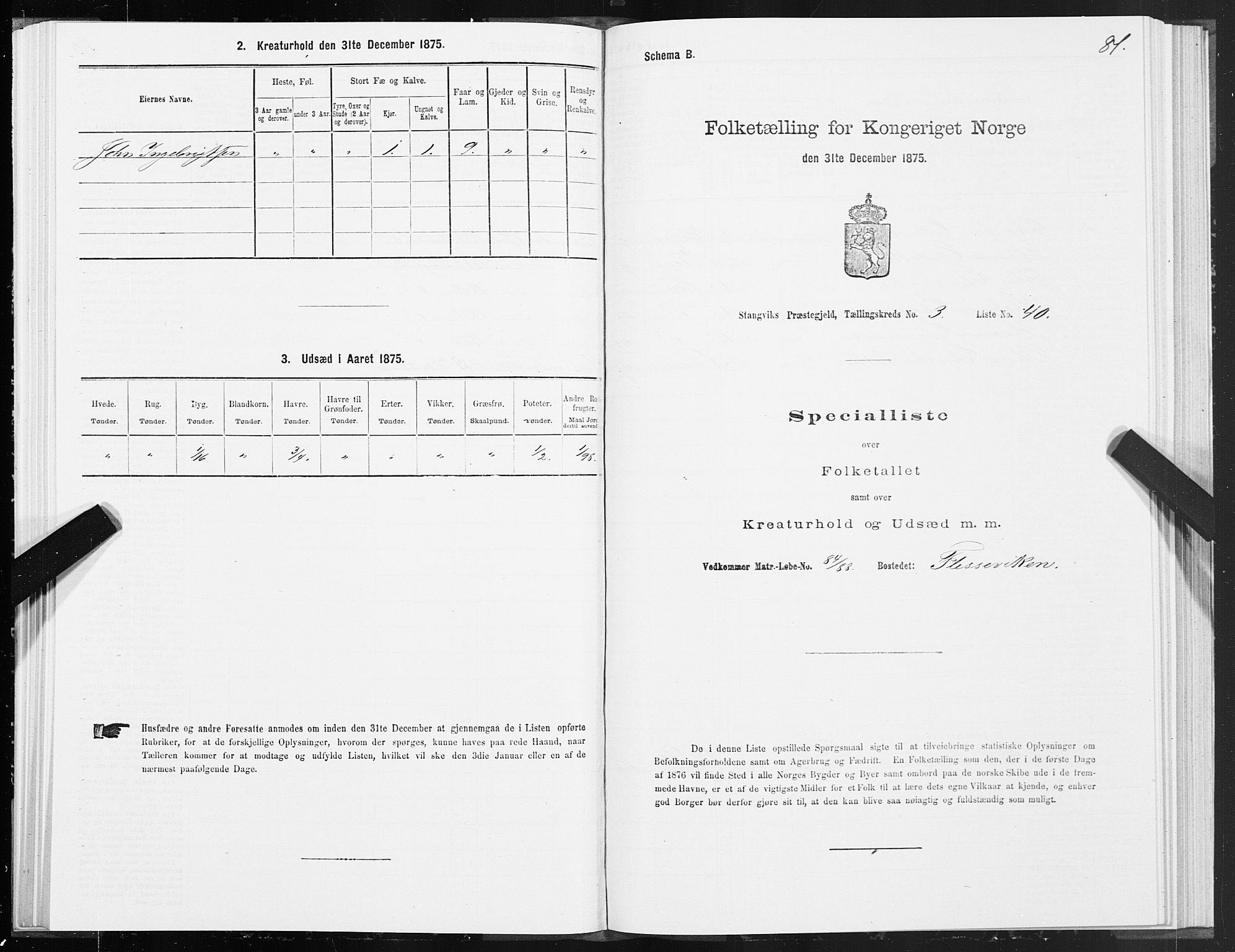 SAT, 1875 census for 1564P Stangvik, 1875, p. 2081