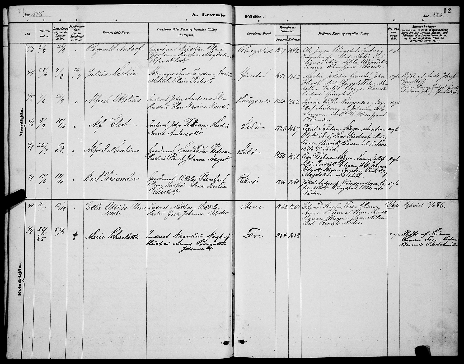 Ministerialprotokoller, klokkerbøker og fødselsregistre - Nordland, AV/SAT-A-1459/891/L1315: Parish register (copy) no. 891C04, 1886-1893, p. 12