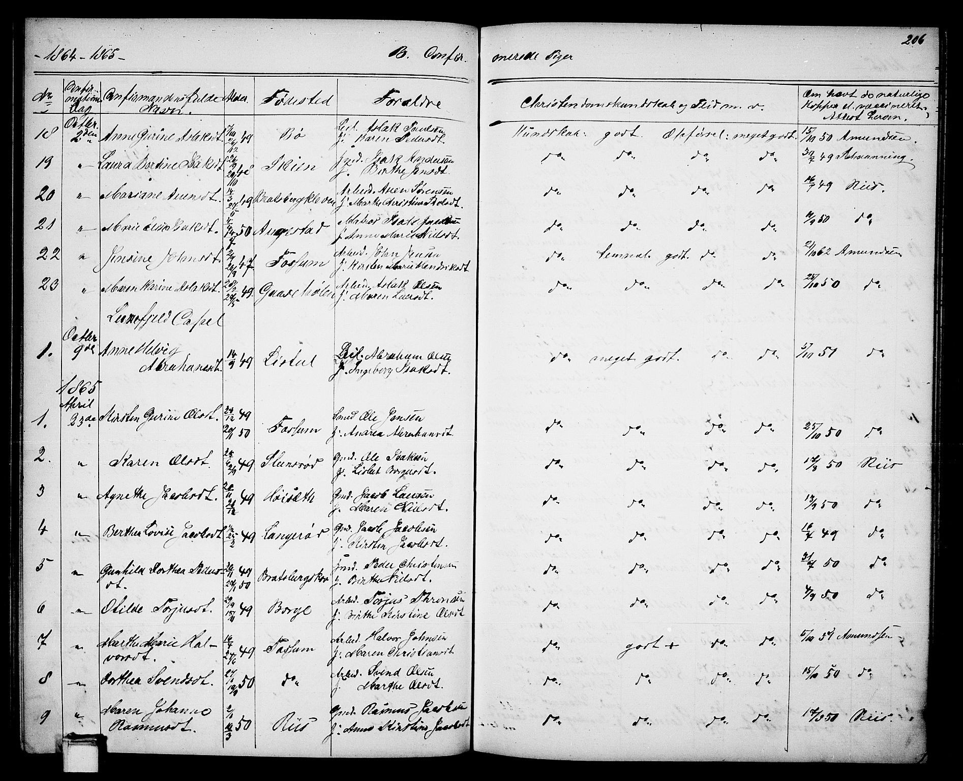 Gjerpen kirkebøker, SAKO/A-265/G/Ga/L0001: Parish register (copy) no. I 1, 1864-1882, p. 206