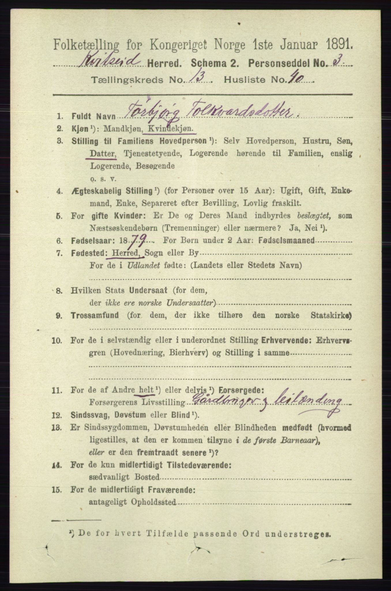 RA, 1891 census for 0829 Kviteseid, 1891, p. 3309