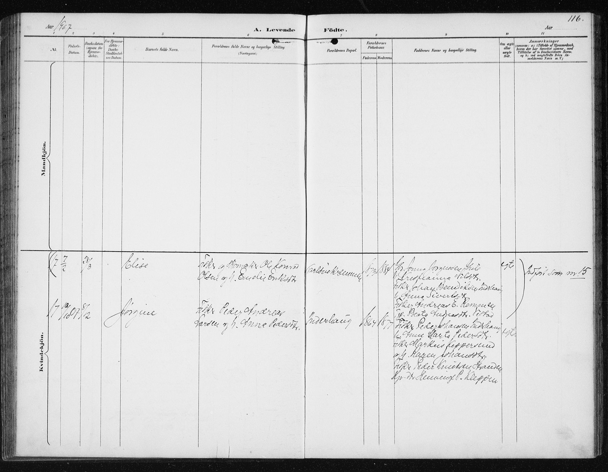 Ministerialprotokoller, klokkerbøker og fødselsregistre - Møre og Romsdal, AV/SAT-A-1454/566/L0773: Parish register (copy) no. 566C02, 1892-1909, p. 116