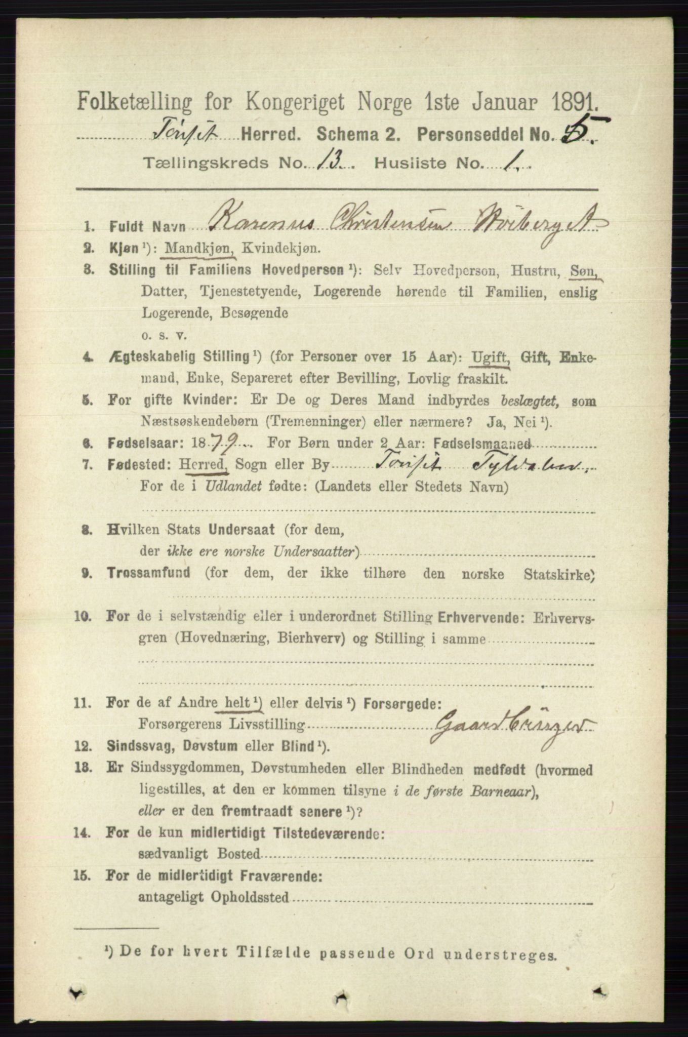 RA, 1891 census for 0437 Tynset, 1891, p. 3519