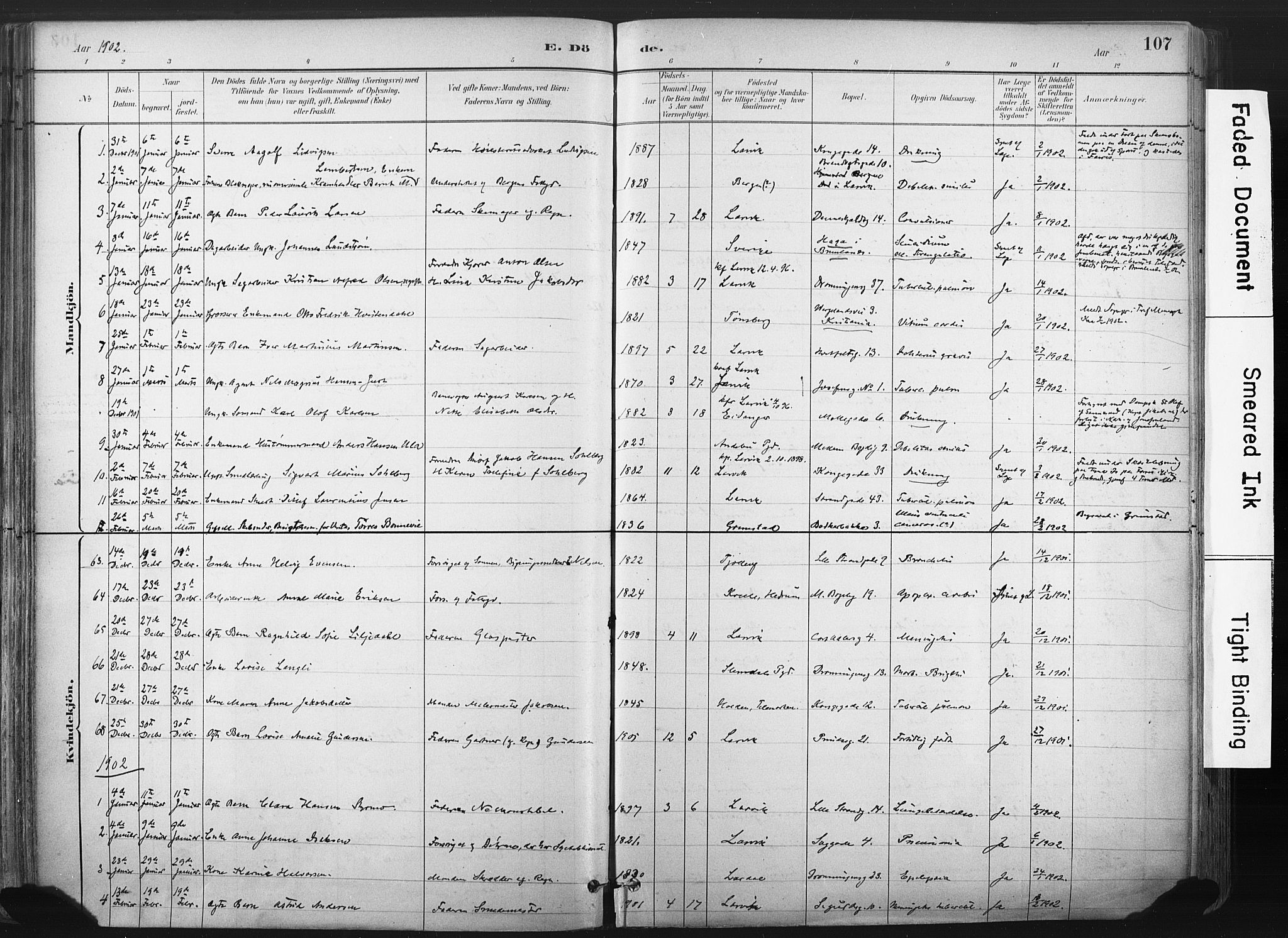 Larvik kirkebøker, SAKO/A-352/F/Fa/L0010: Parish register (official) no. I 10, 1884-1910, p. 107