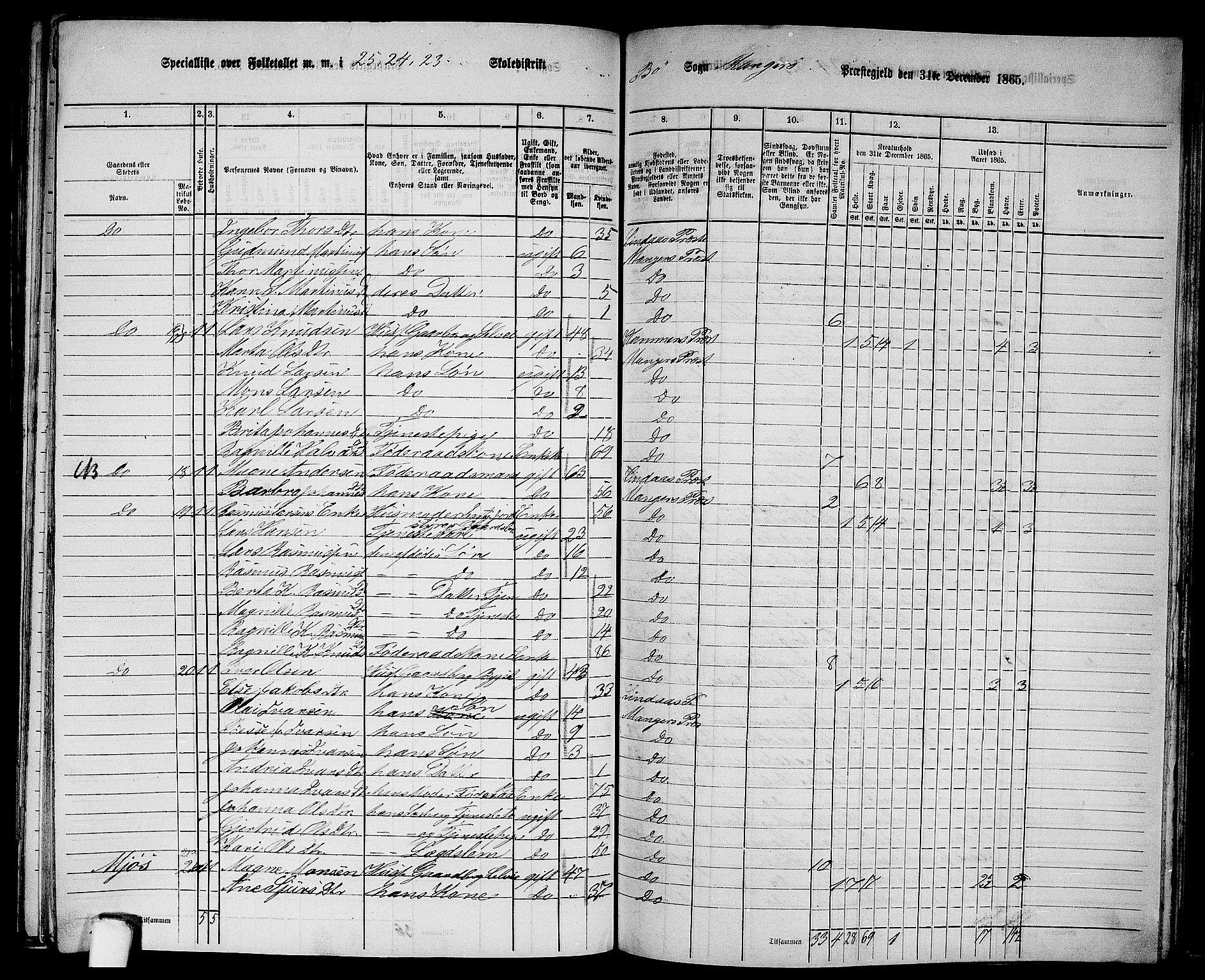 RA, 1865 census for Manger, 1865, p. 252