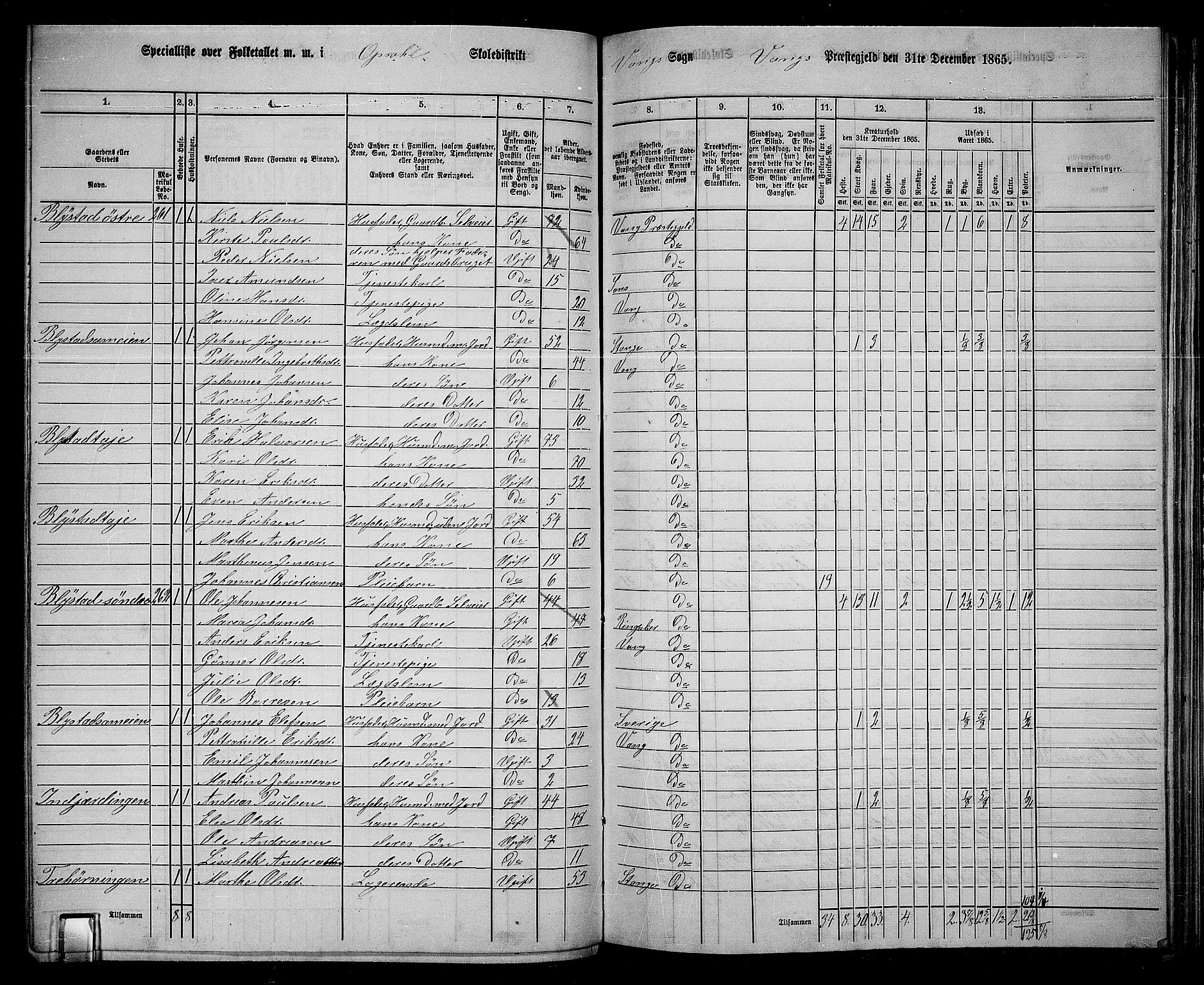 RA, 1865 census for Vang/Vang og Furnes, 1865, p. 262