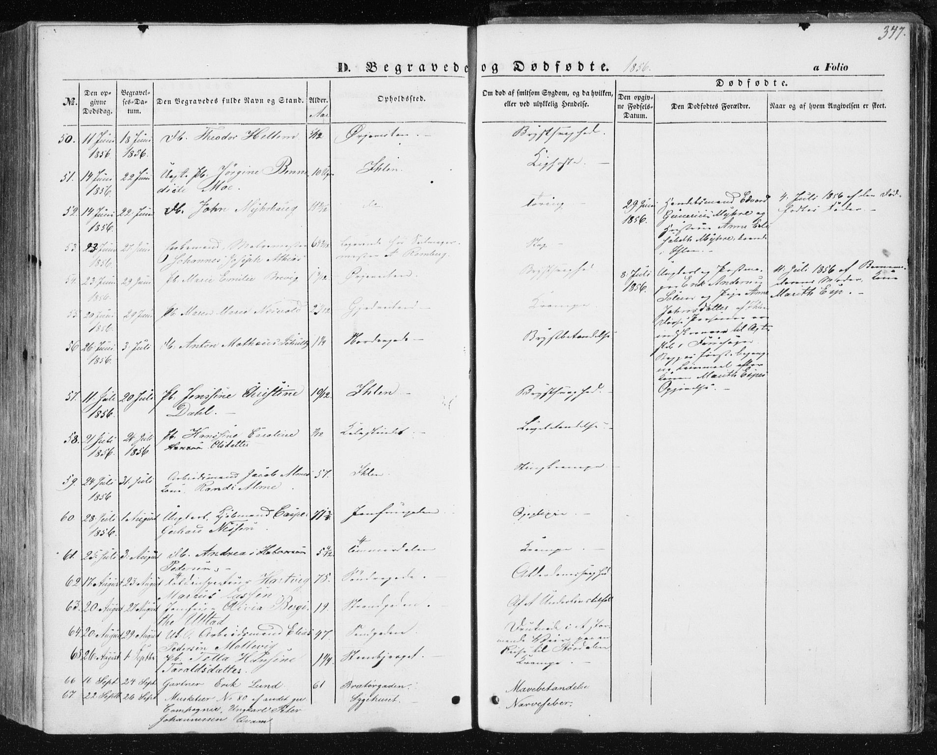 Ministerialprotokoller, klokkerbøker og fødselsregistre - Sør-Trøndelag, AV/SAT-A-1456/602/L0112: Parish register (official) no. 602A10, 1848-1859, p. 347