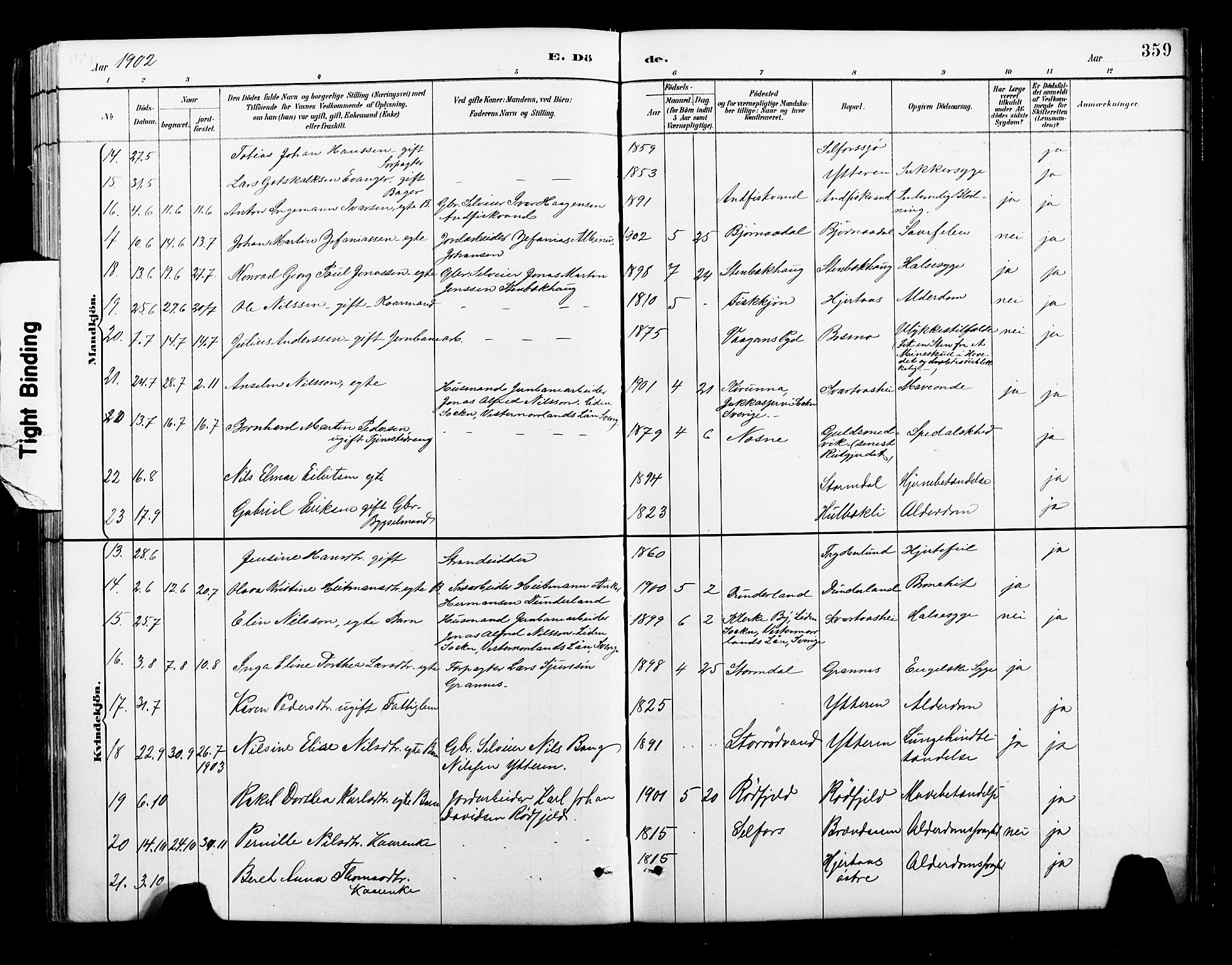 Ministerialprotokoller, klokkerbøker og fødselsregistre - Nordland, AV/SAT-A-1459/827/L0421: Parish register (copy) no. 827C10, 1887-1906, p. 359