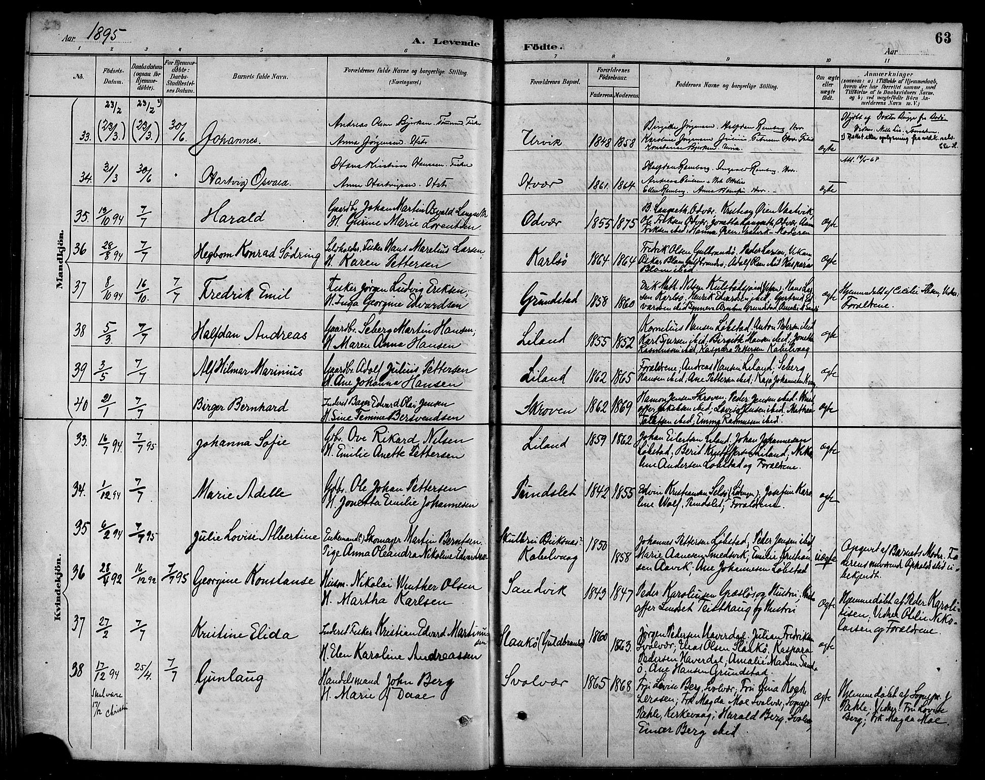 Ministerialprotokoller, klokkerbøker og fødselsregistre - Nordland, AV/SAT-A-1459/874/L1060: Parish register (official) no. 874A04, 1890-1899, p. 63