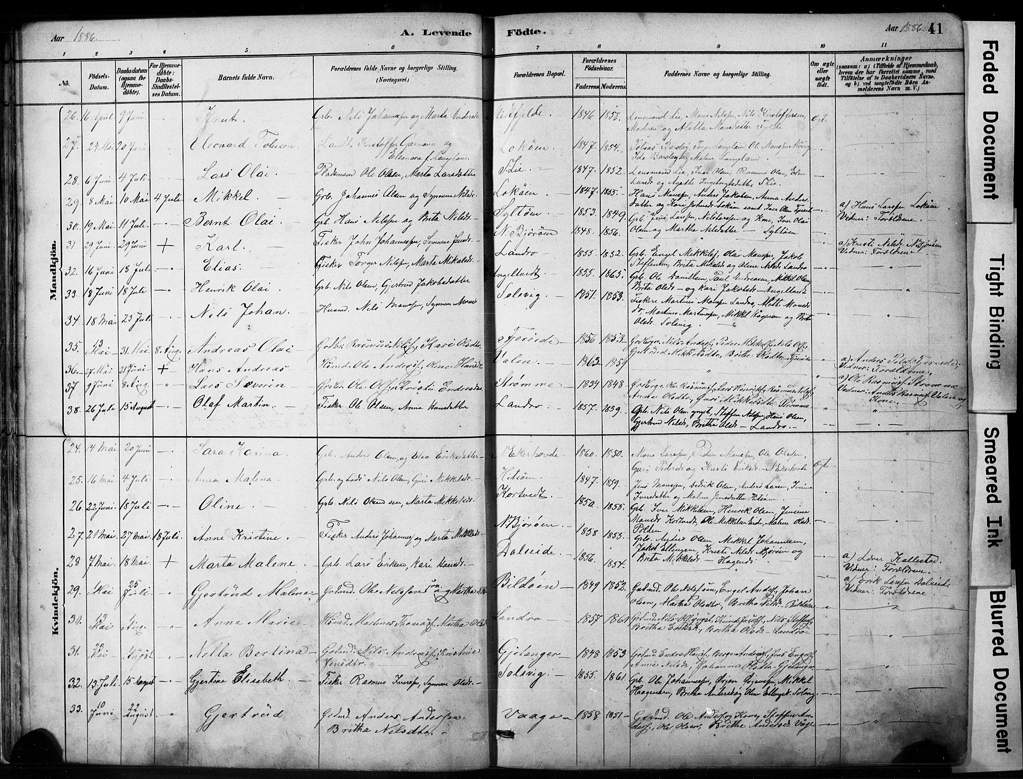 Fjell sokneprestembete, AV/SAB-A-75301/H/Hab: Parish register (copy) no. A 4, 1880-1899, p. 41