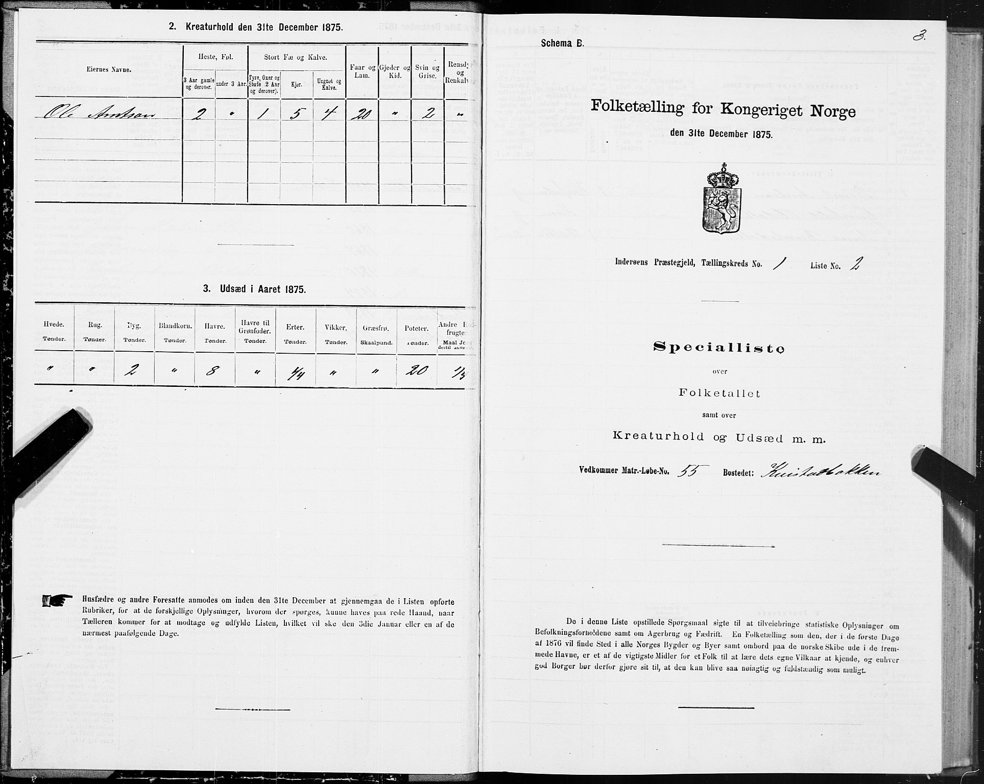 SAT, 1875 census for 1729P Inderøy, 1875, p. 1003