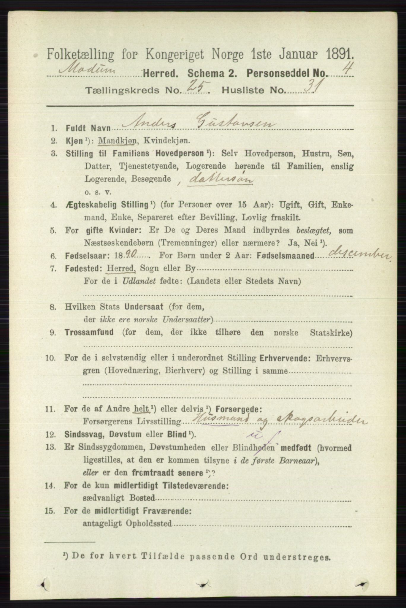 RA, 1891 census for 0623 Modum, 1891, p. 9205