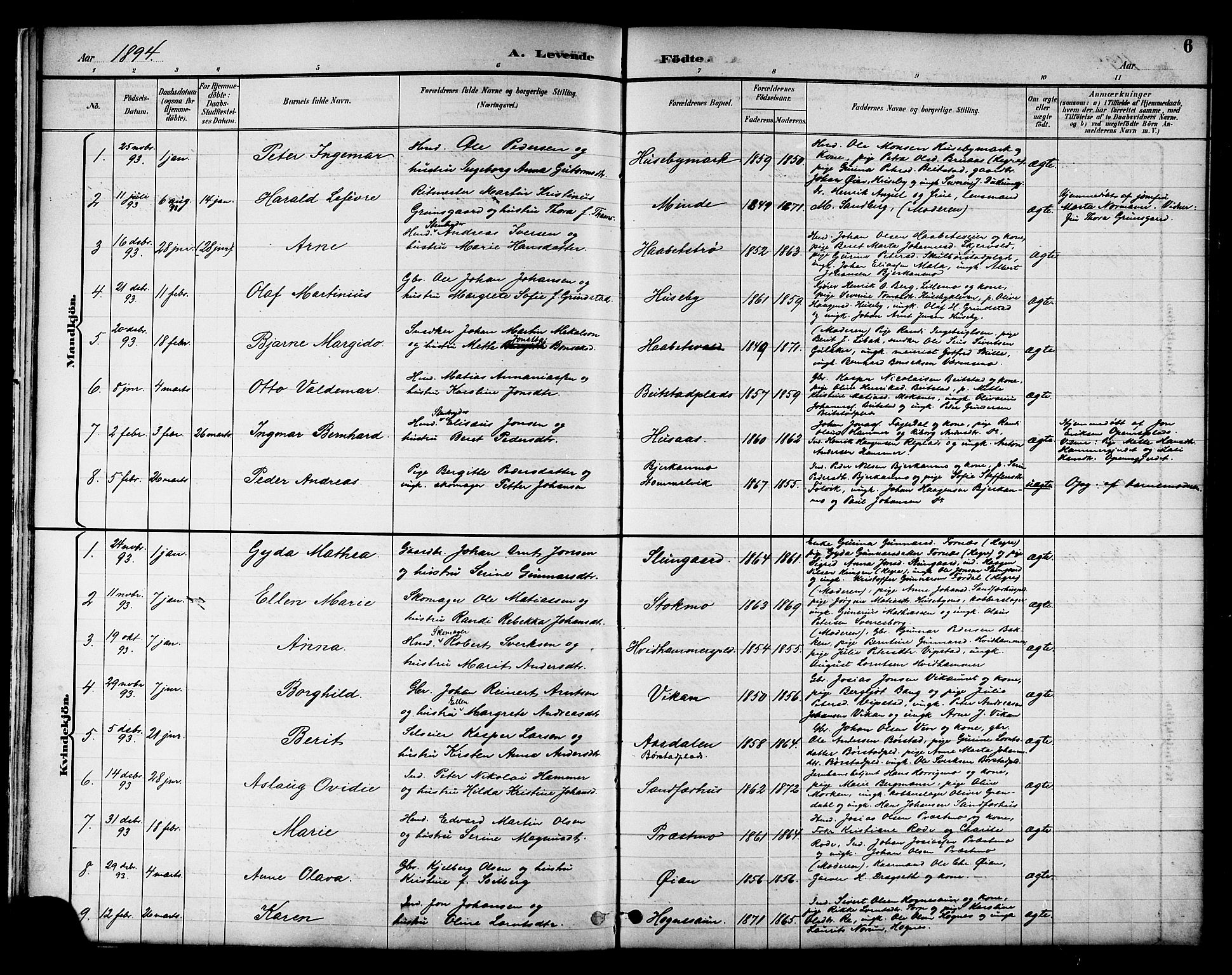 Ministerialprotokoller, klokkerbøker og fødselsregistre - Nord-Trøndelag, SAT/A-1458/709/L0087: Parish register (copy) no. 709C01, 1892-1913, p. 6