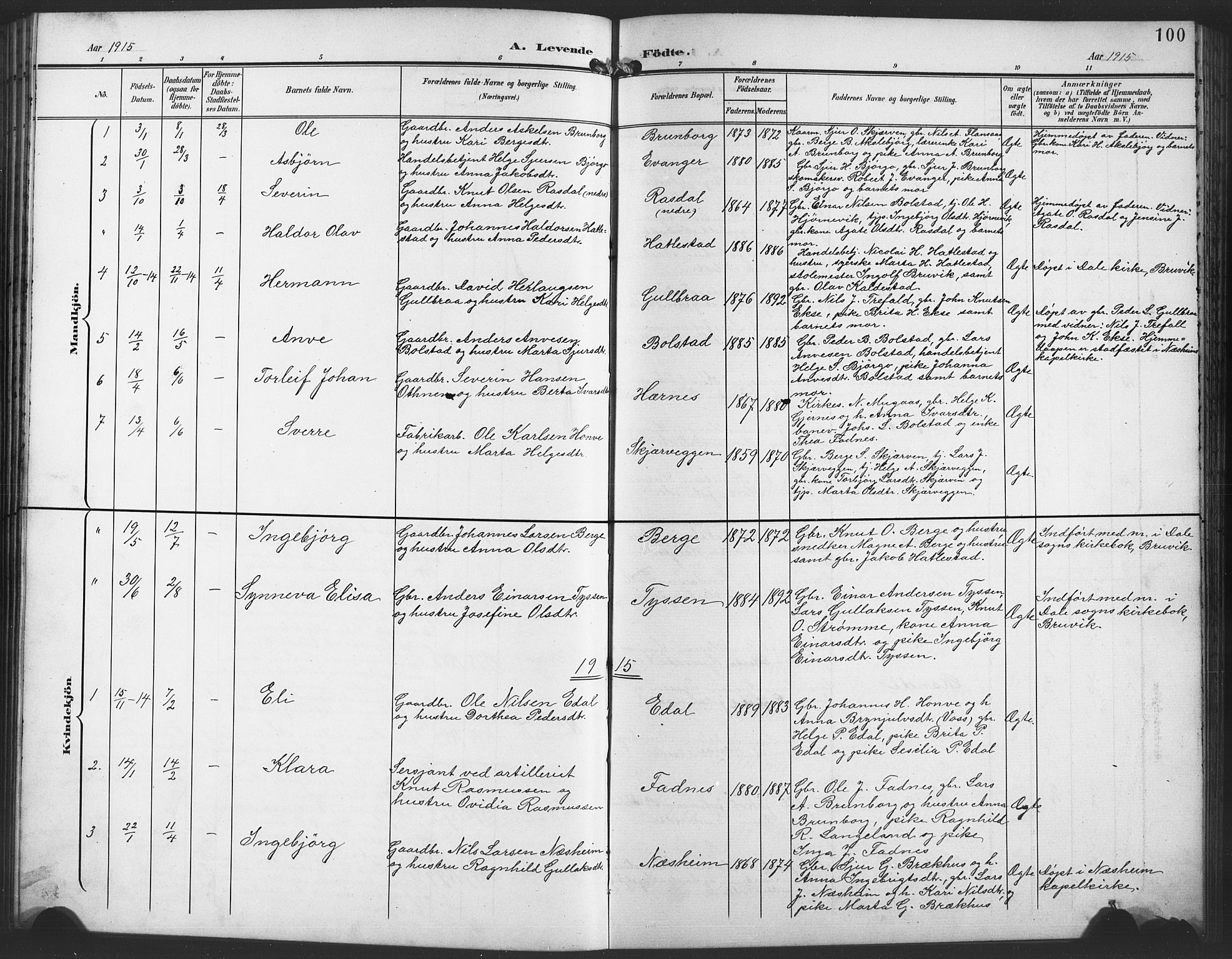 Evanger sokneprestembete, SAB/A-99924: Parish register (copy) no. A 5, 1897-1917, p. 100