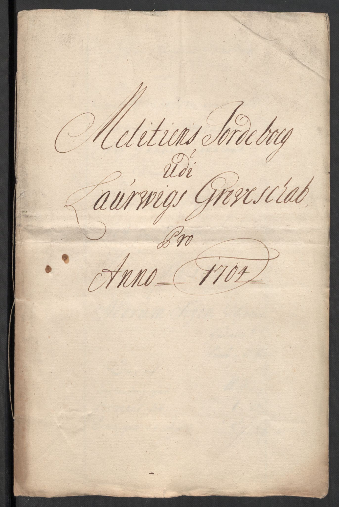 Rentekammeret inntil 1814, Reviderte regnskaper, Fogderegnskap, RA/EA-4092/R33/L1978: Fogderegnskap Larvik grevskap, 1704-1705, p. 237