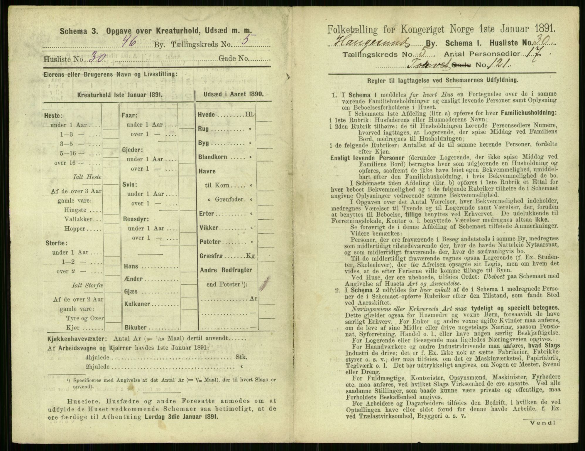 RA, 1891 census for 1106 Haugesund, 1891, p. 381